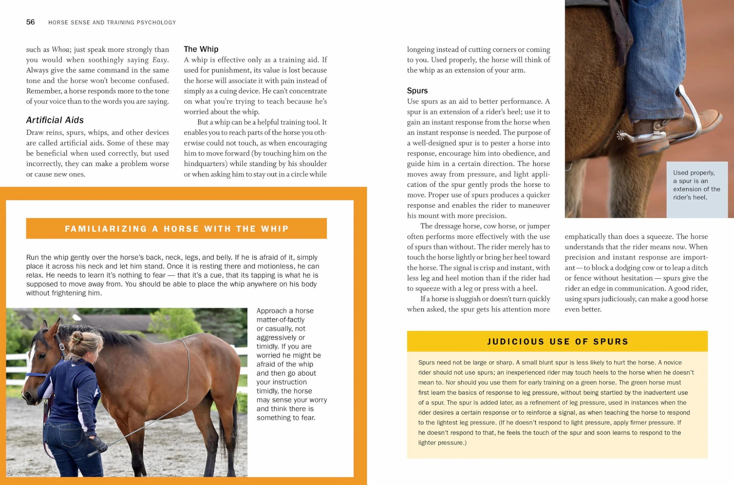 Storey's Guide to Training Horses, 3rd Edition: Ground Work, Driving, Riding