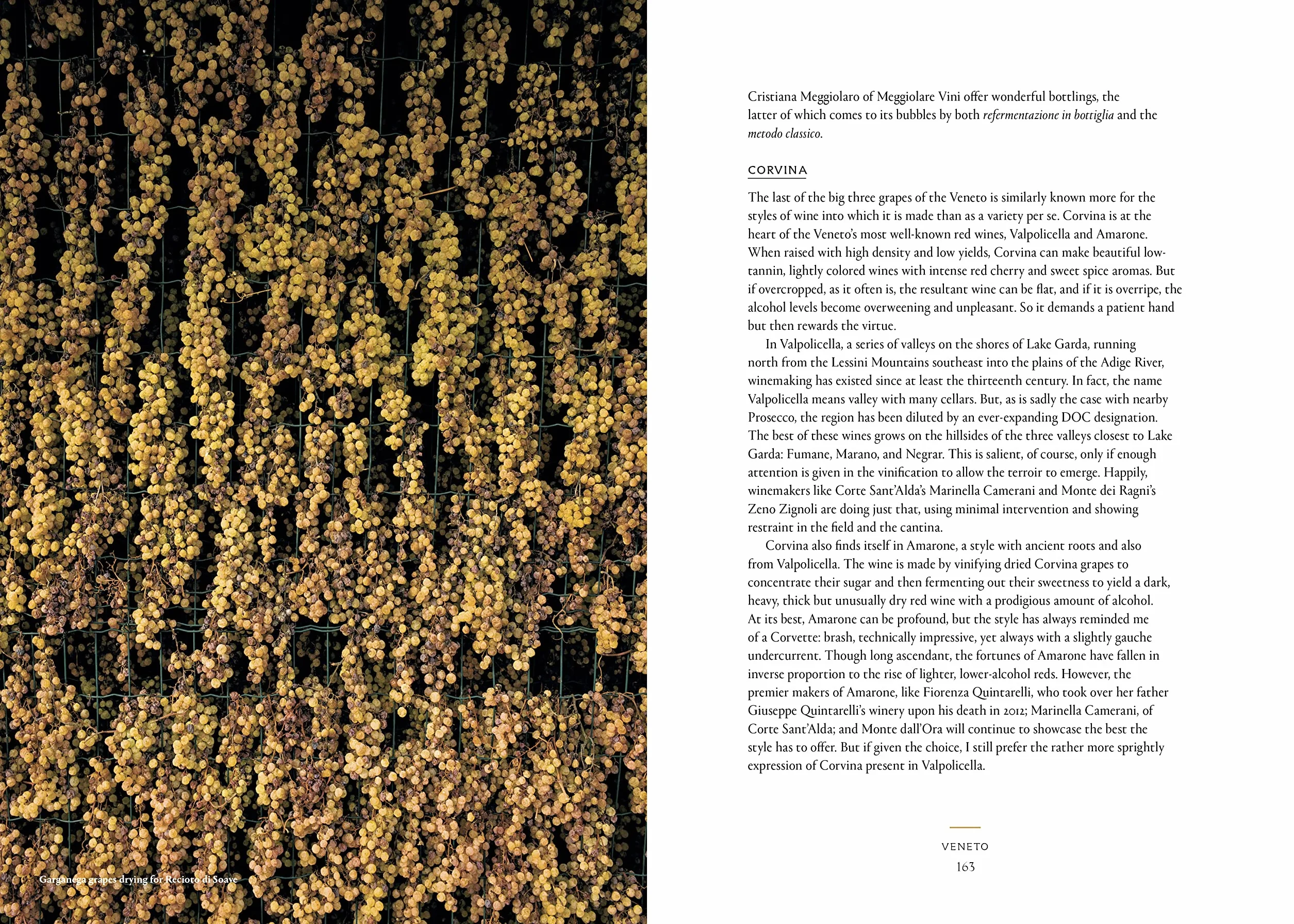 Vino: The Essential Guide to Real Italian Wine