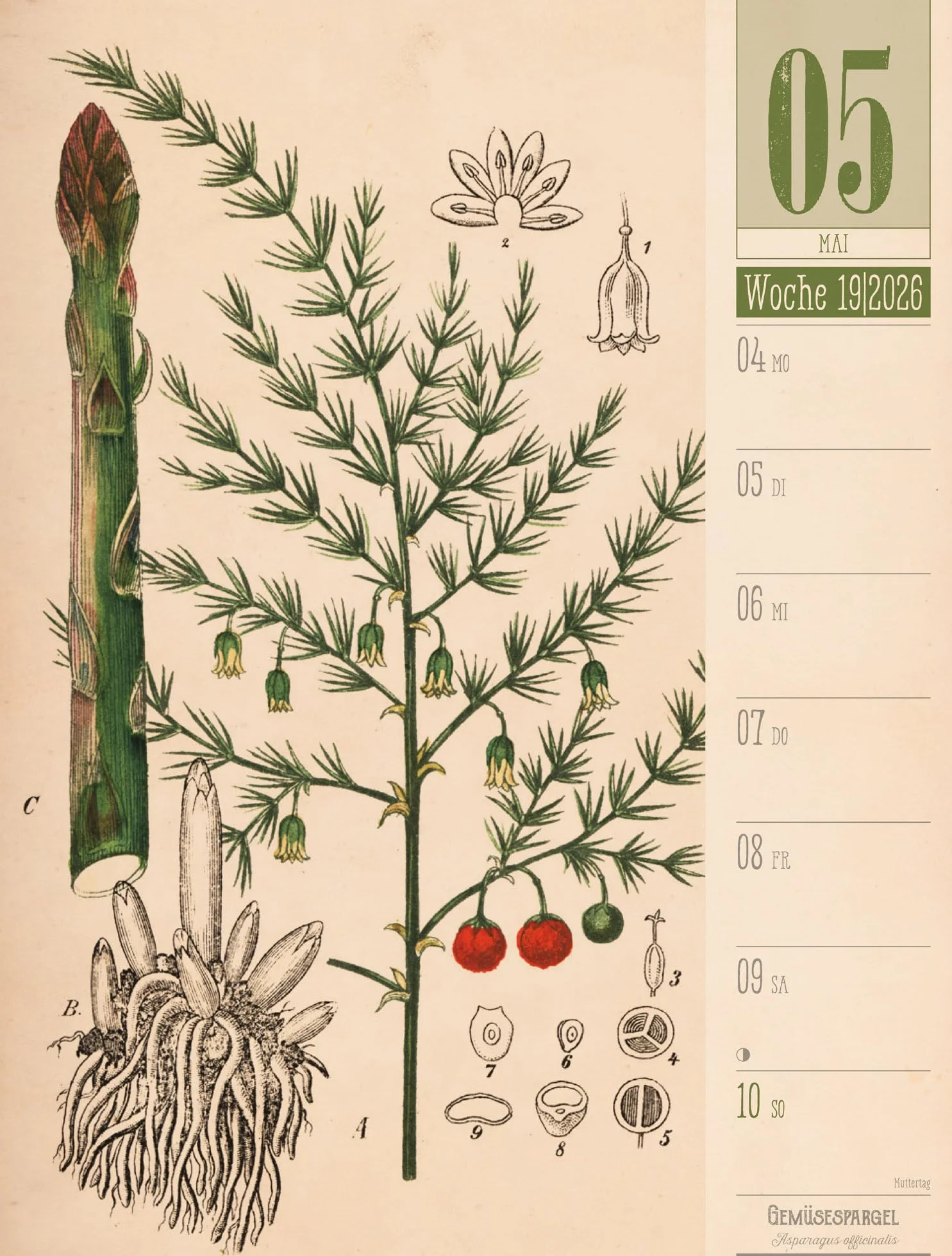Culinarium Wochenplaner Kalender 2026 | Küche, Kräuter, Kurioses: Informativer Küchen-Wochenkalender im Hochformat (25x33 cm) | Vintage & Retro