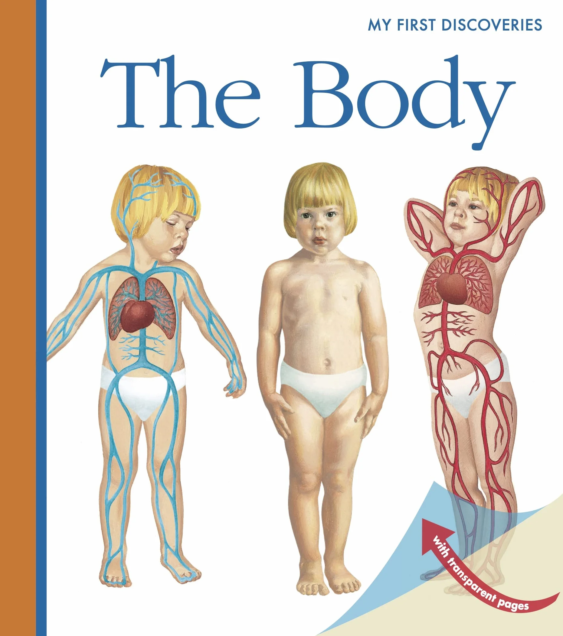Body: Volume 16