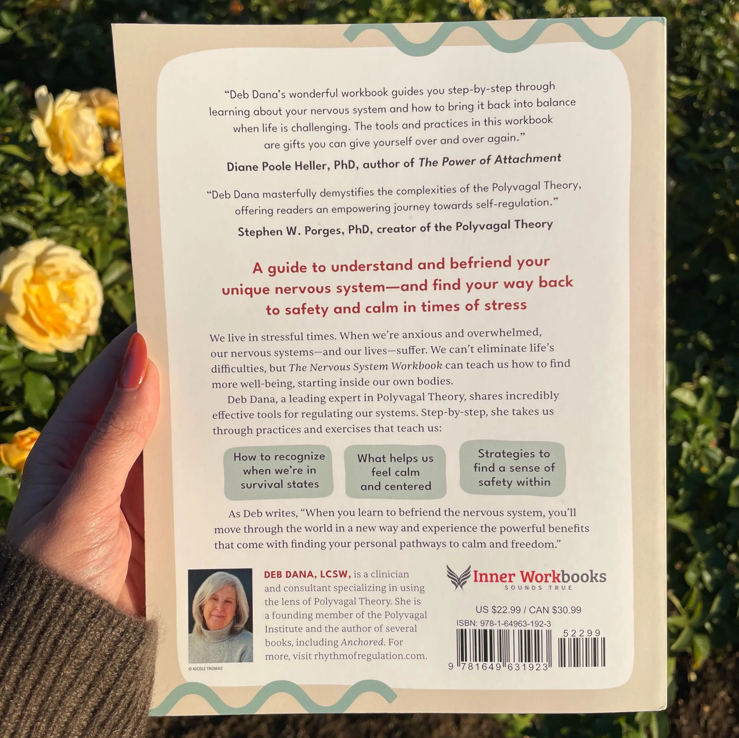 The Nervous System Workbook: Practical Exercises to Ease Anxiety, Find Safety, and Come Home to Yourself Using Polyvagal Theory