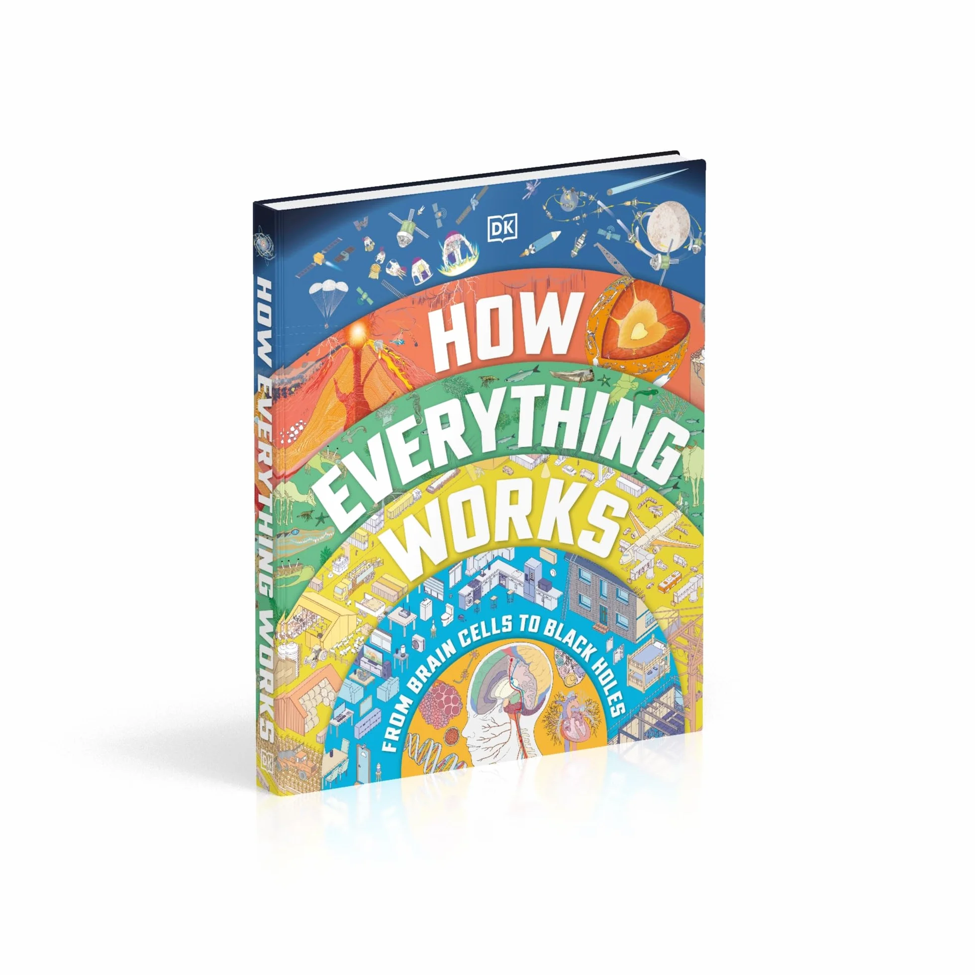 How Everything Works: From Brain Cells to Black Holes