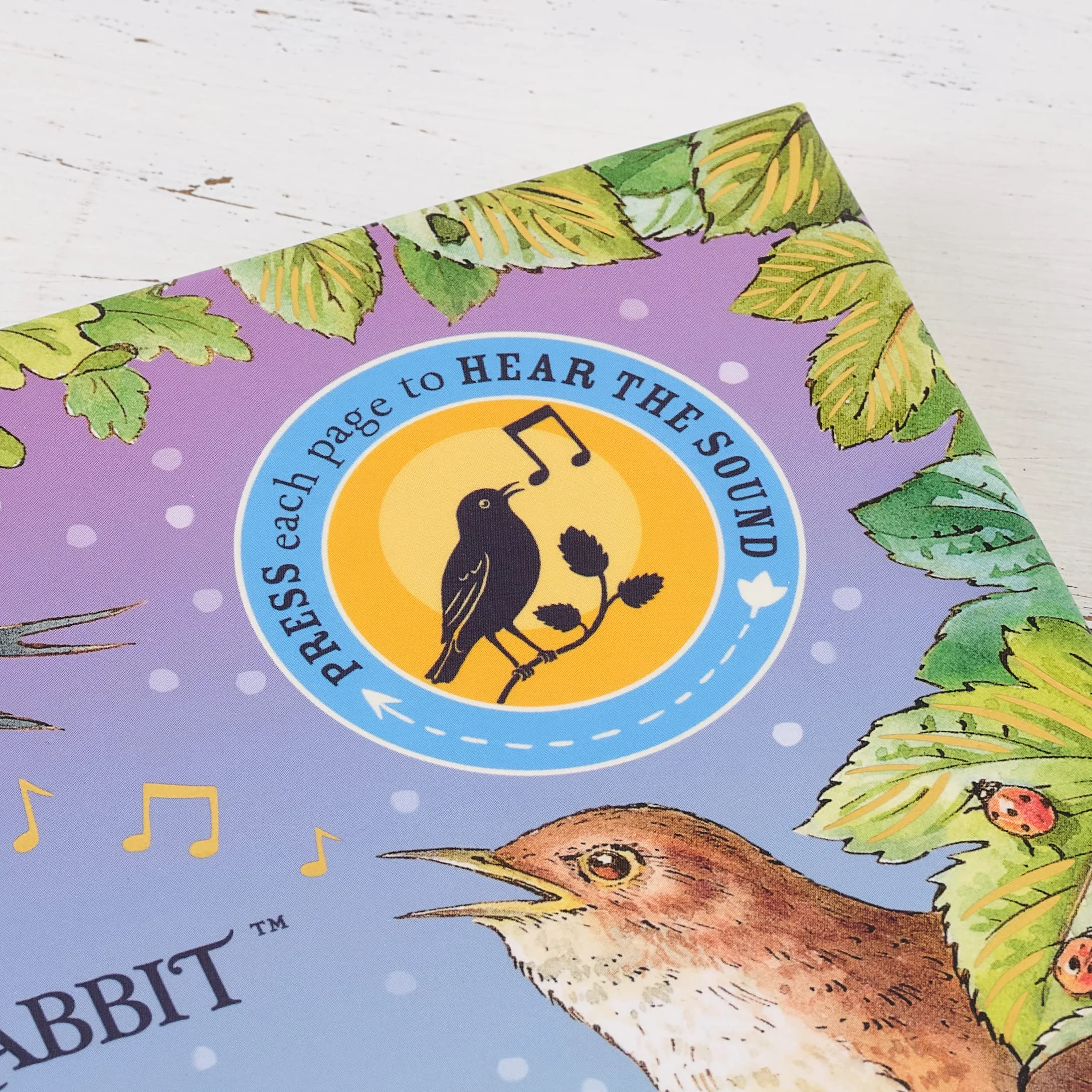 Peter Rabbit: Peter's Nature Walk: A Sound Book