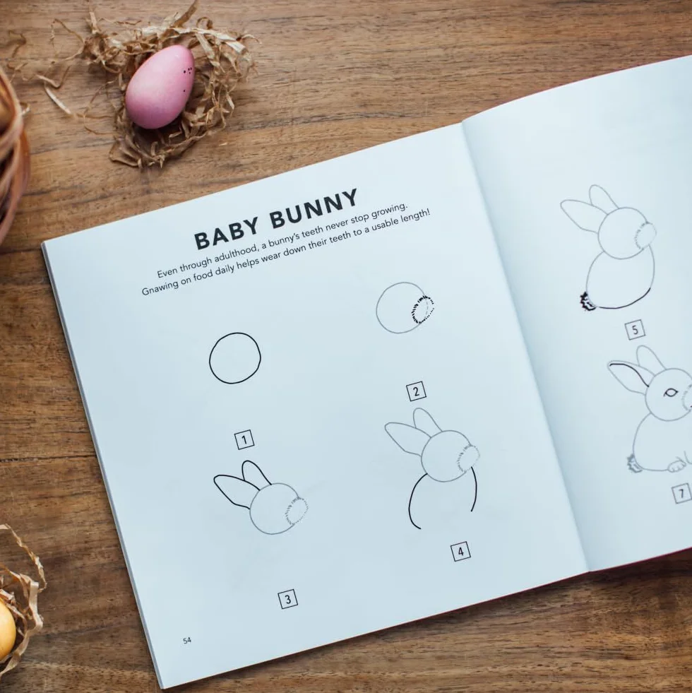 Spring Things: How to Draw Books for Kids with Easter Eggs, Bunnies, Flowers, an d More: 8