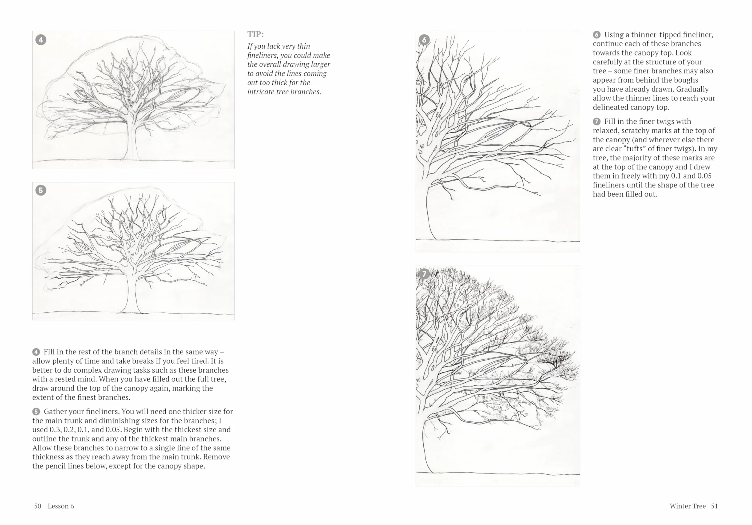 How to Draw a Tree: From the Fruit to the Forest: A Step-By-Step Course for the Nature Artist