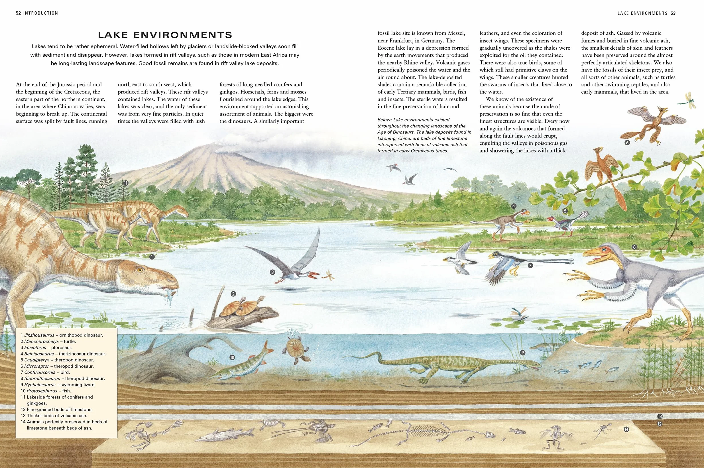 The Illustrated Encyclopedia of Dinosaurs and Prehistoric Creatures: The Ultimate Illustrated Reference Guide to 1000 Dinosaurs and Prehistoric Creatures, Updated and Revised