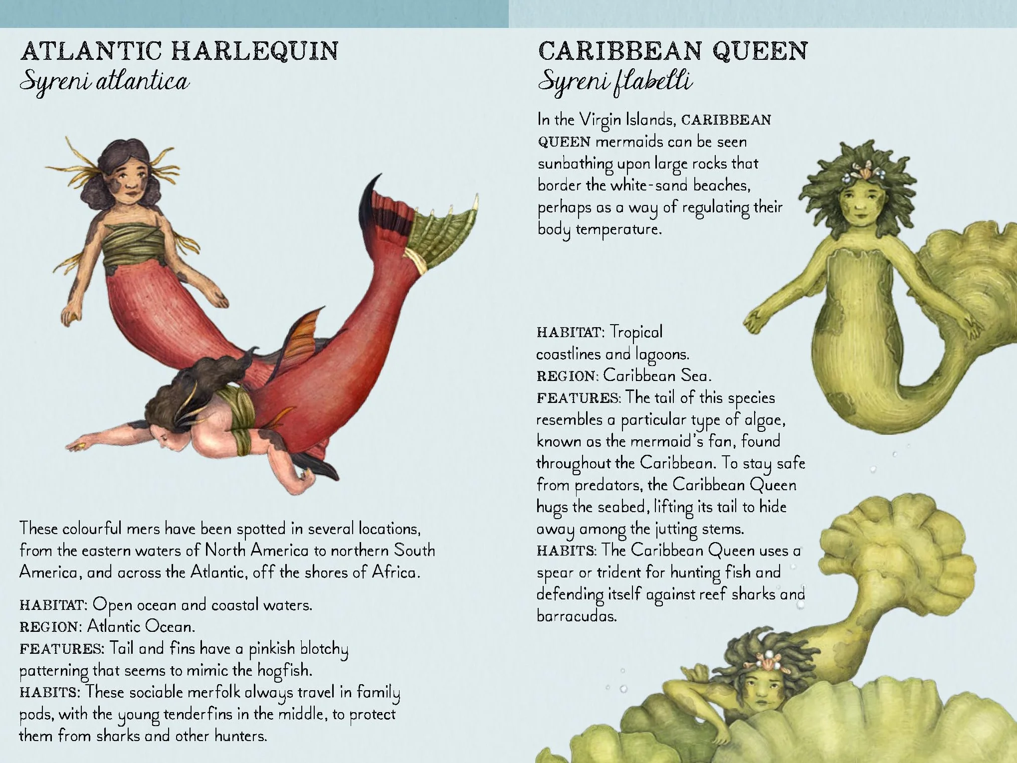 Match the Mermaids: A Memory Game