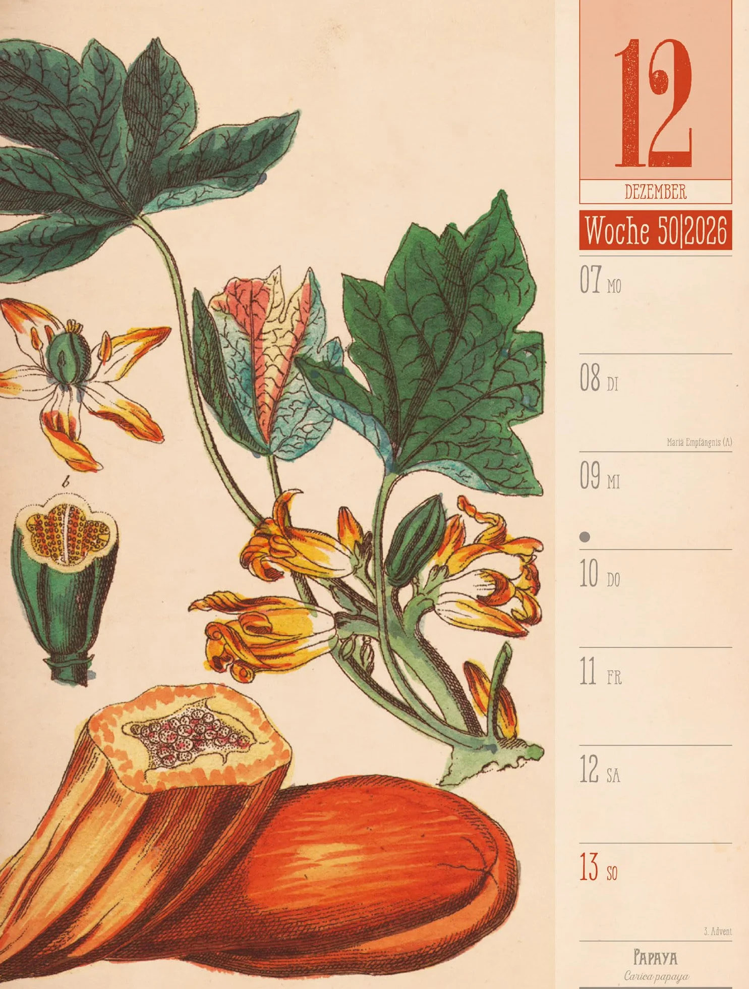 Culinarium Wochenplaner Kalender 2026 | Küche, Kräuter, Kurioses: Informativer Küchen-Wochenkalender im Hochformat (25x33 cm) | Vintage & Retro