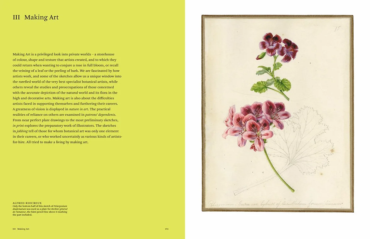 Botanical Sketchbooks (paperback) /anglais