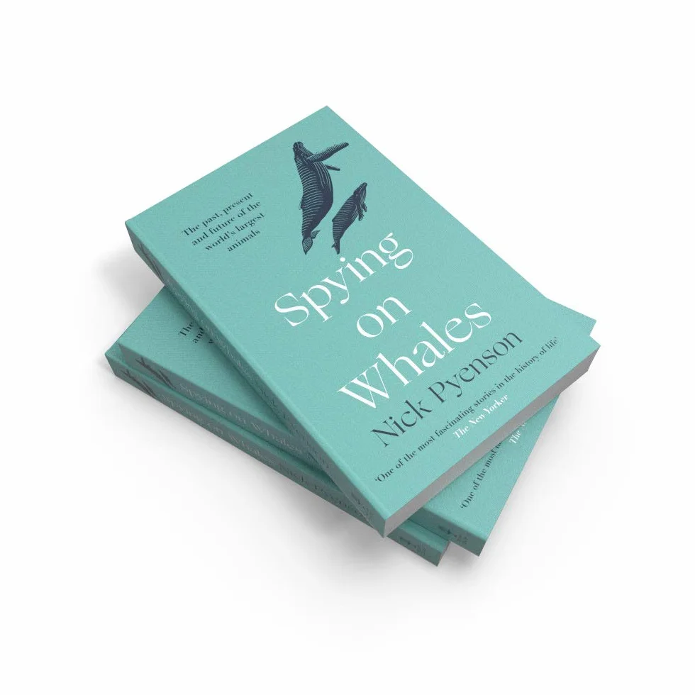 Spying on Whales: The Past, Present and Future of the World’s Largest Animals