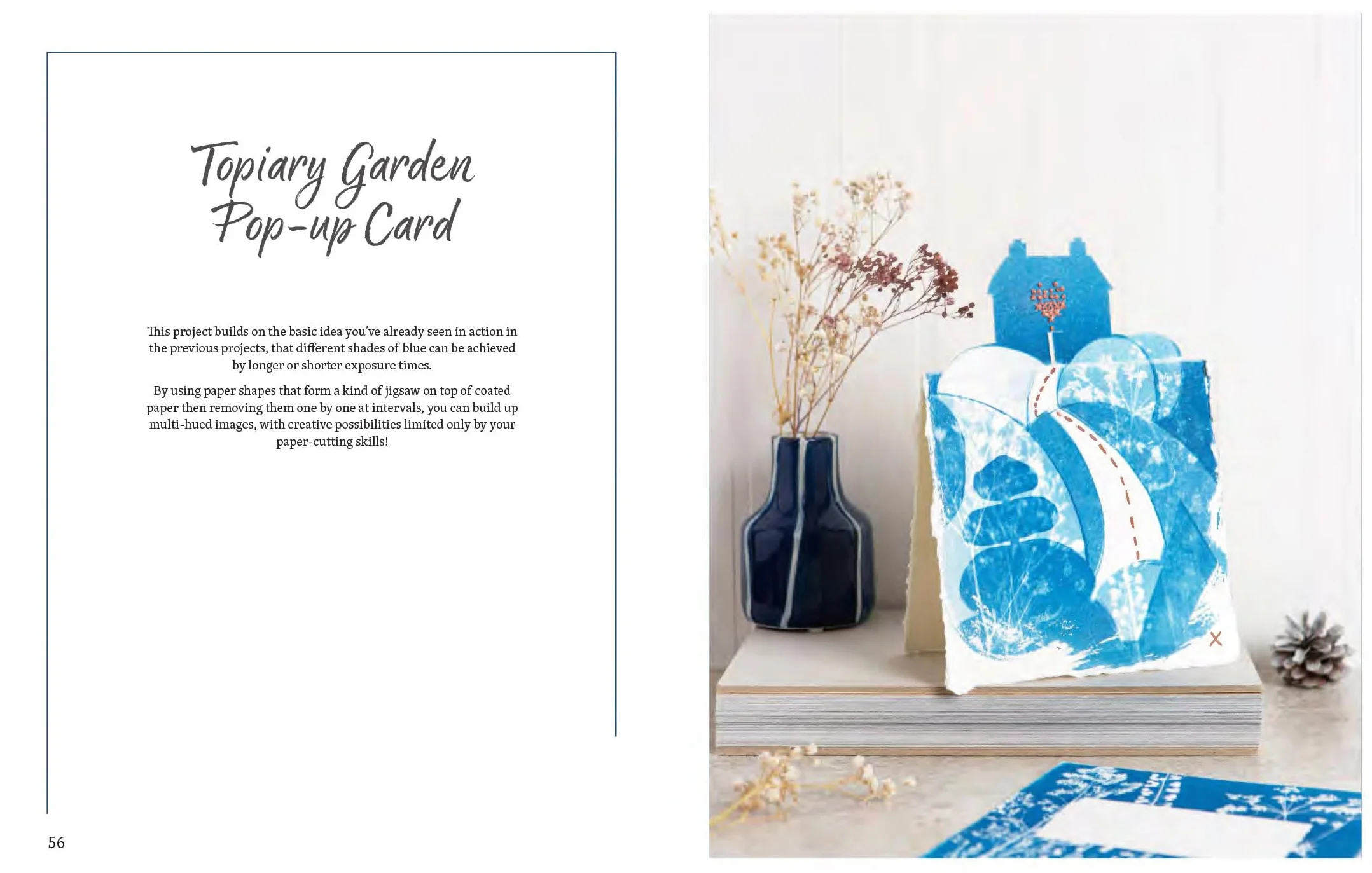 Beginner's Guide to Cyanotype: Beautiful Projects to Print with Light