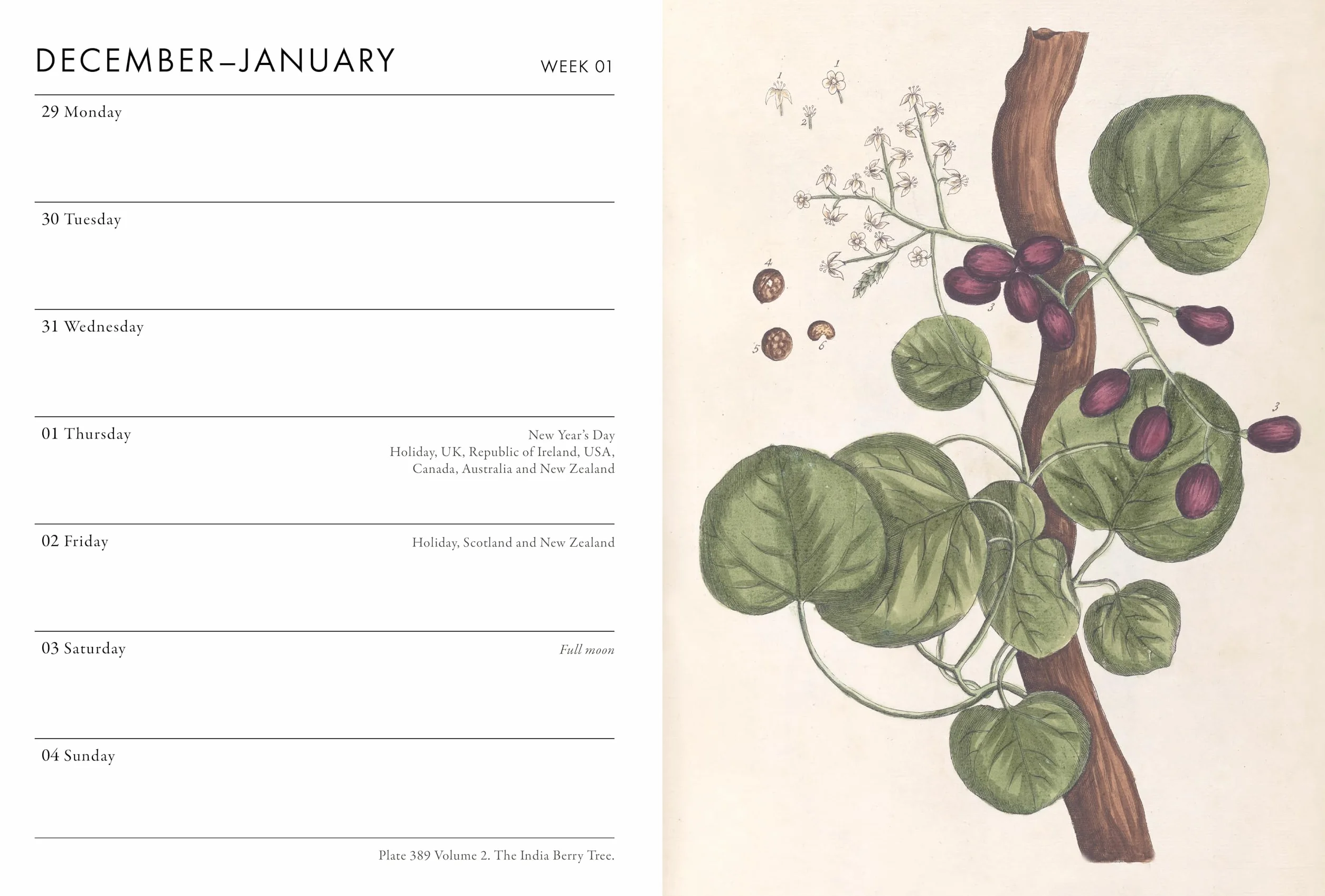 RHS Desk Diary 2026