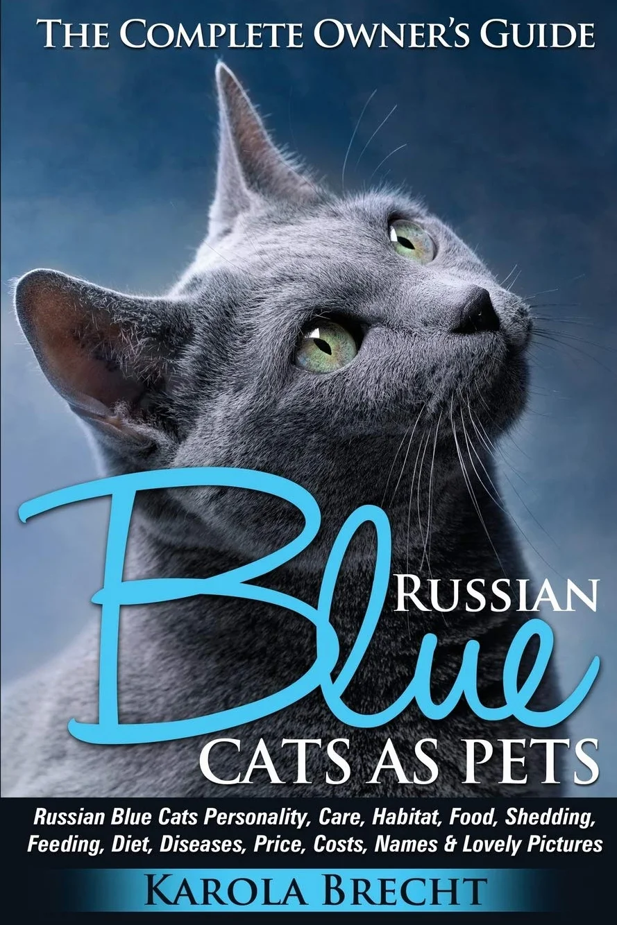 Russian Blue Cats as Pets: Personality, care, habitat, feeding, shedding, diet, diseases, price, costs, names & lovely pictures. Russian Blue Cats complete owner's guide!