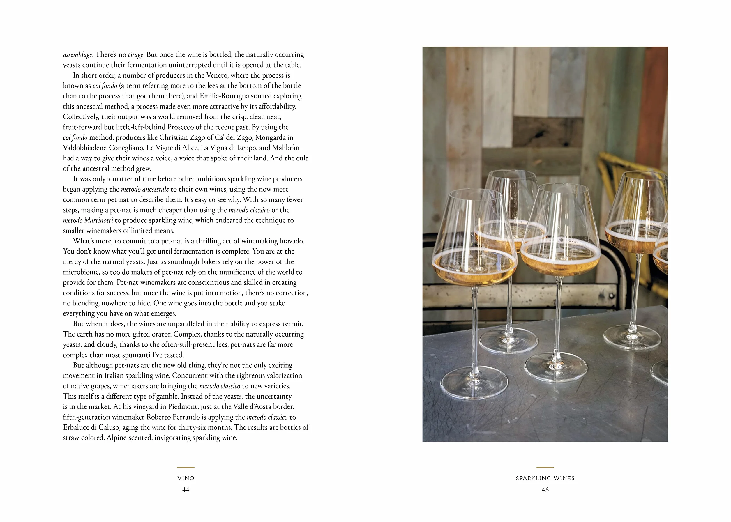 Vino: The Essential Guide to Real Italian Wine
