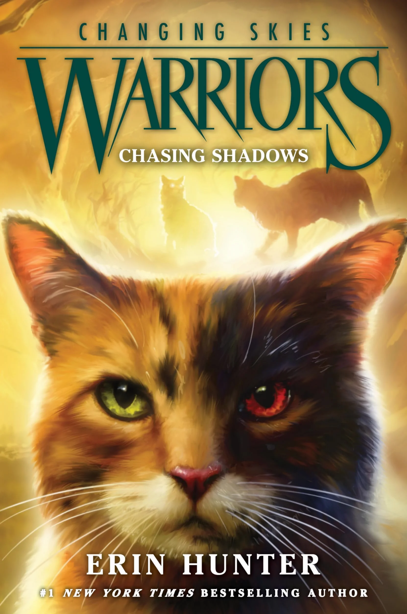 Warriors: Changing Skies #3: Chasing Shadows
