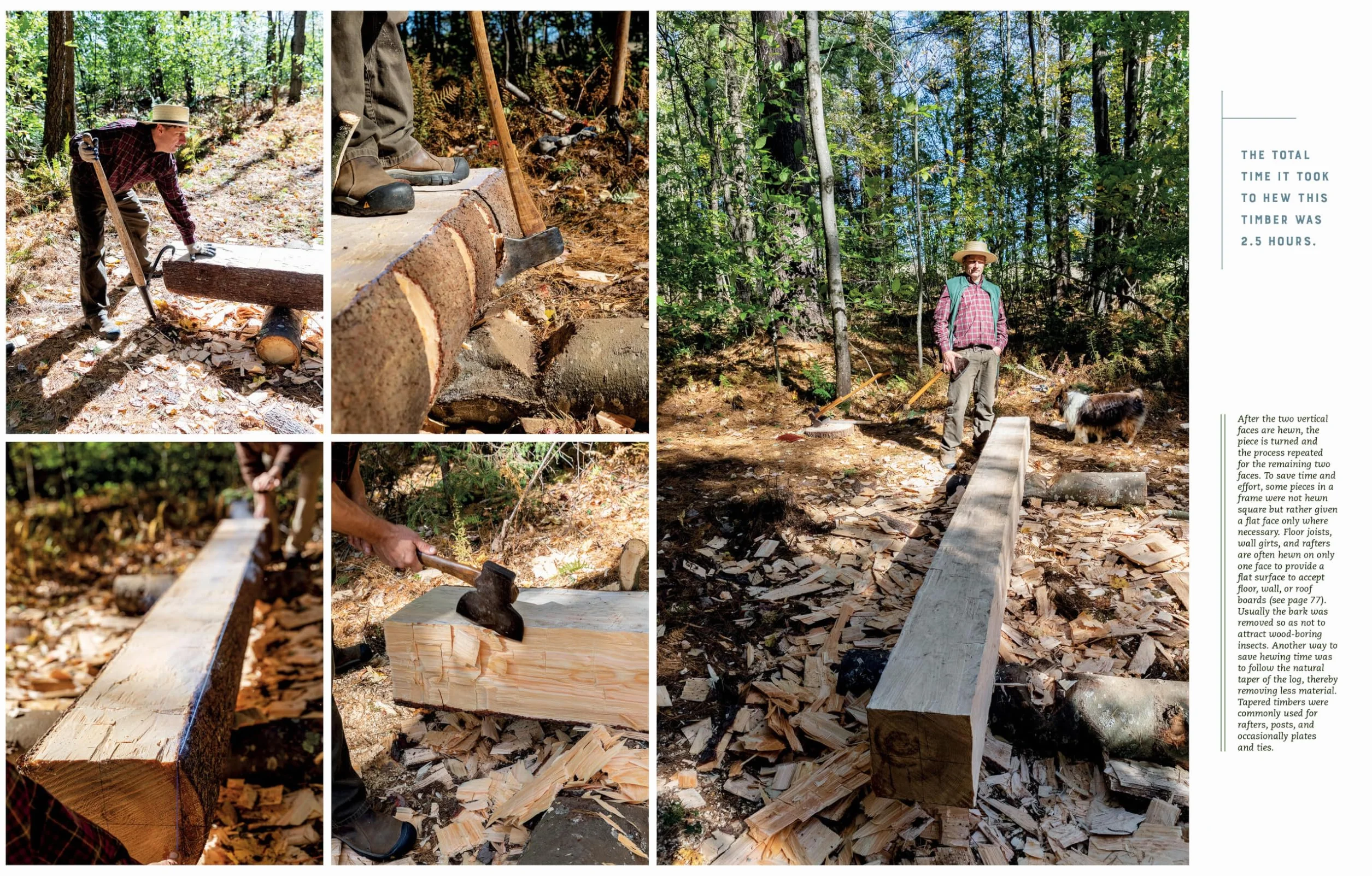 Hand Hewn: The Traditions, Tools, and Enduring Beauty of Timber Framing