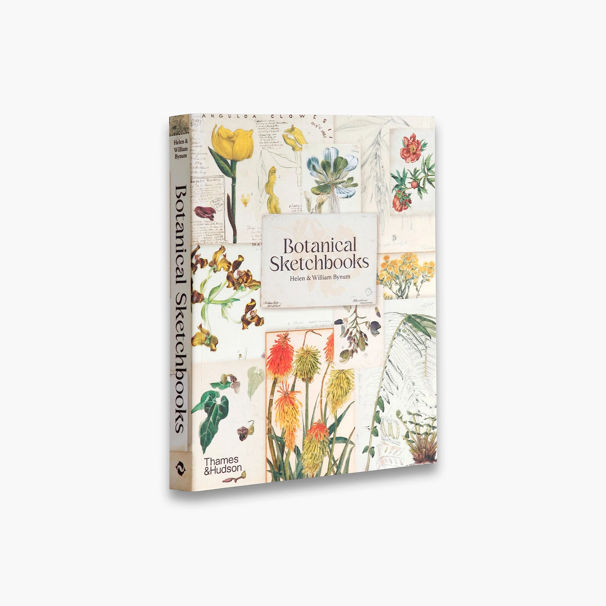 Botanical Sketchbooks (paperback) /anglais