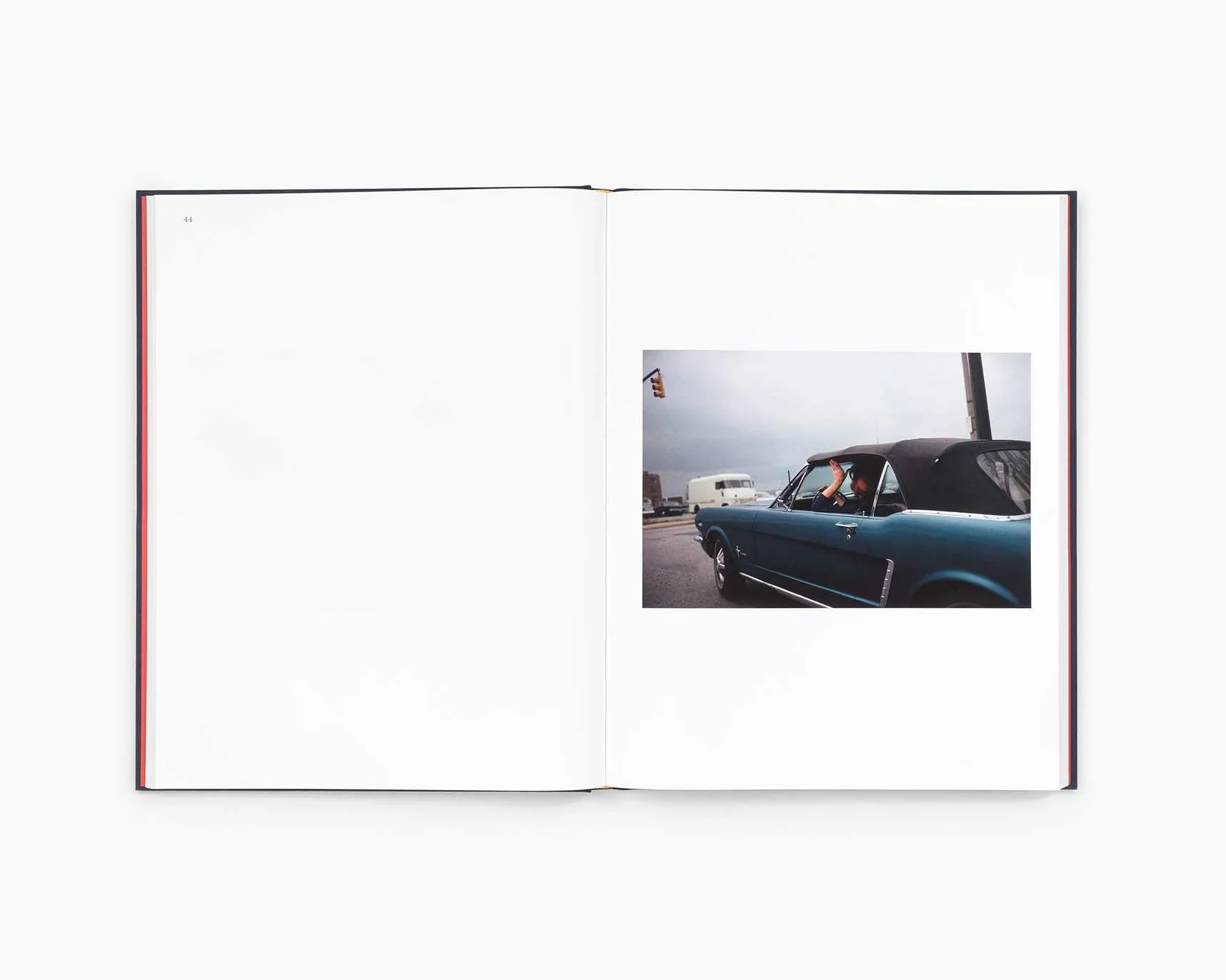 William Eggleston The Last Dyes /anglais