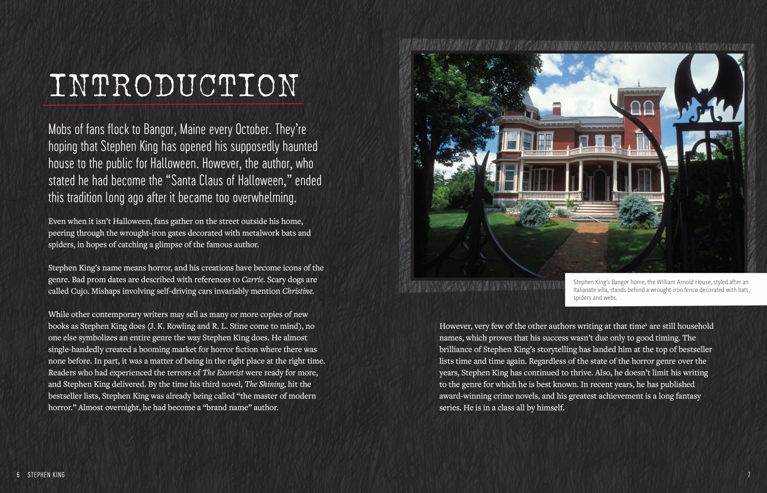 Stephen King: His Life, Work, and Influences (Young Readers' Edition)