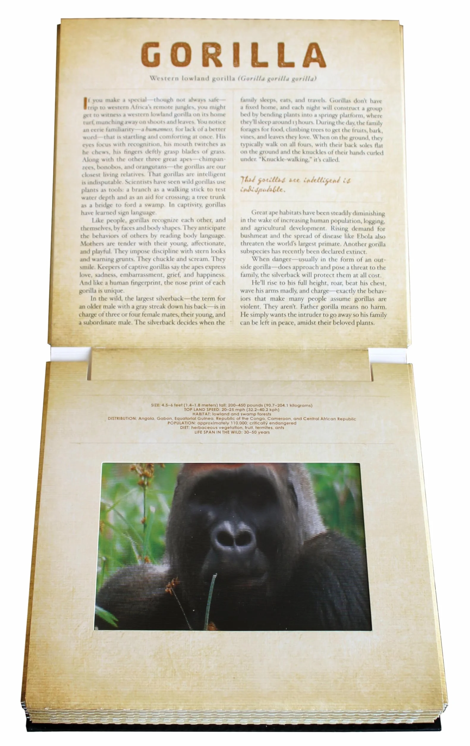 Safari: A Photicular Book