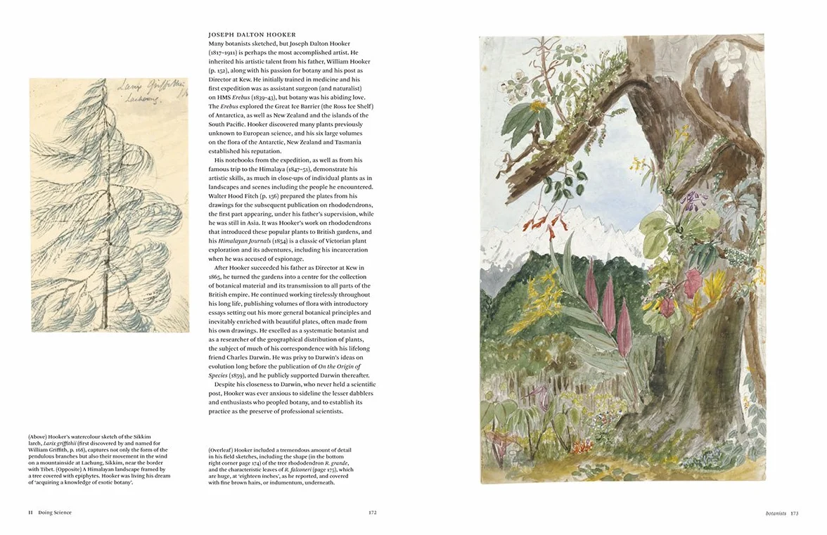 Botanical Sketchbooks (paperback) /anglais