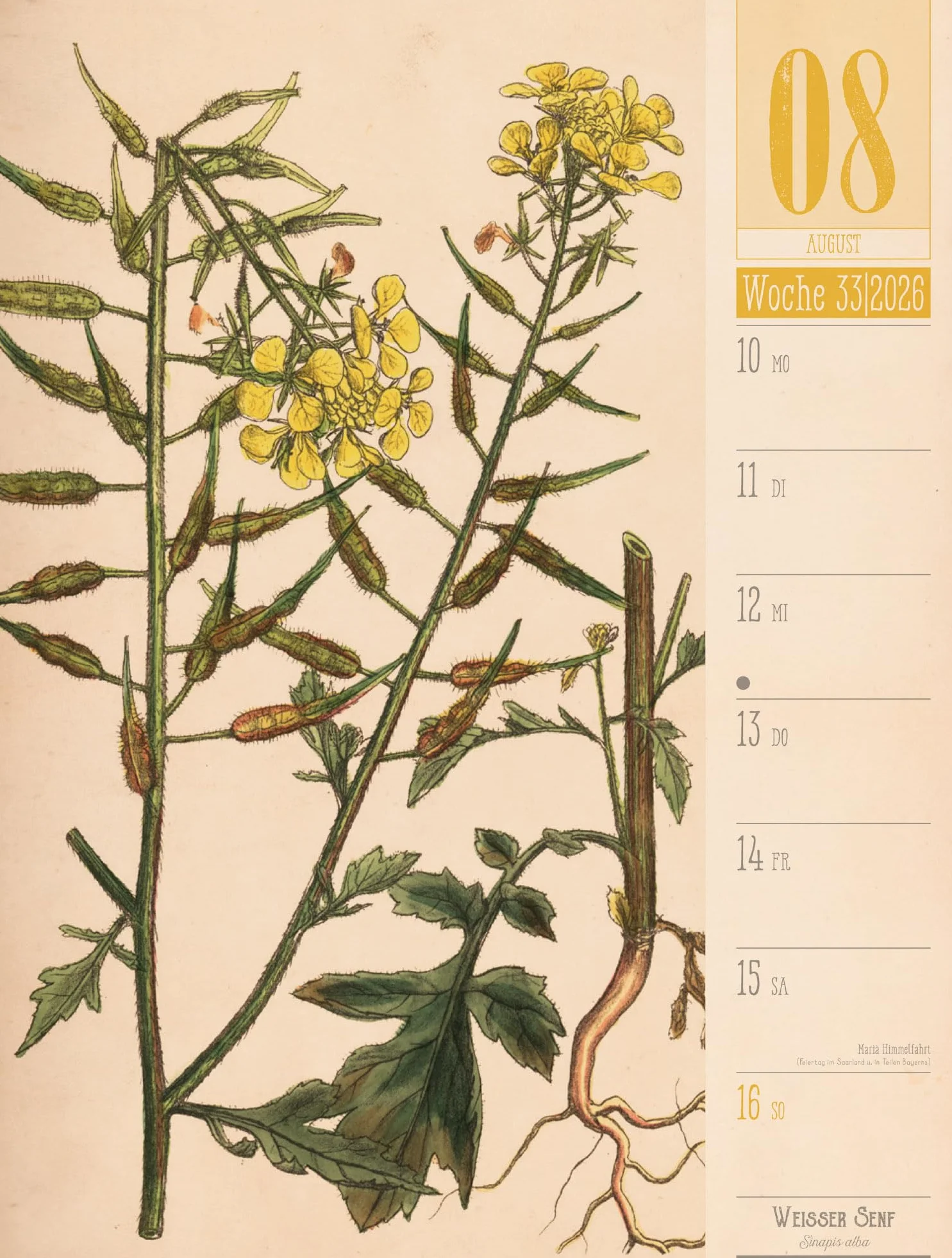 Culinarium Wochenplaner Kalender 2026 | Küche, Kräuter, Kurioses: Informativer Küchen-Wochenkalender im Hochformat (25x33 cm) | Vintage & Retro