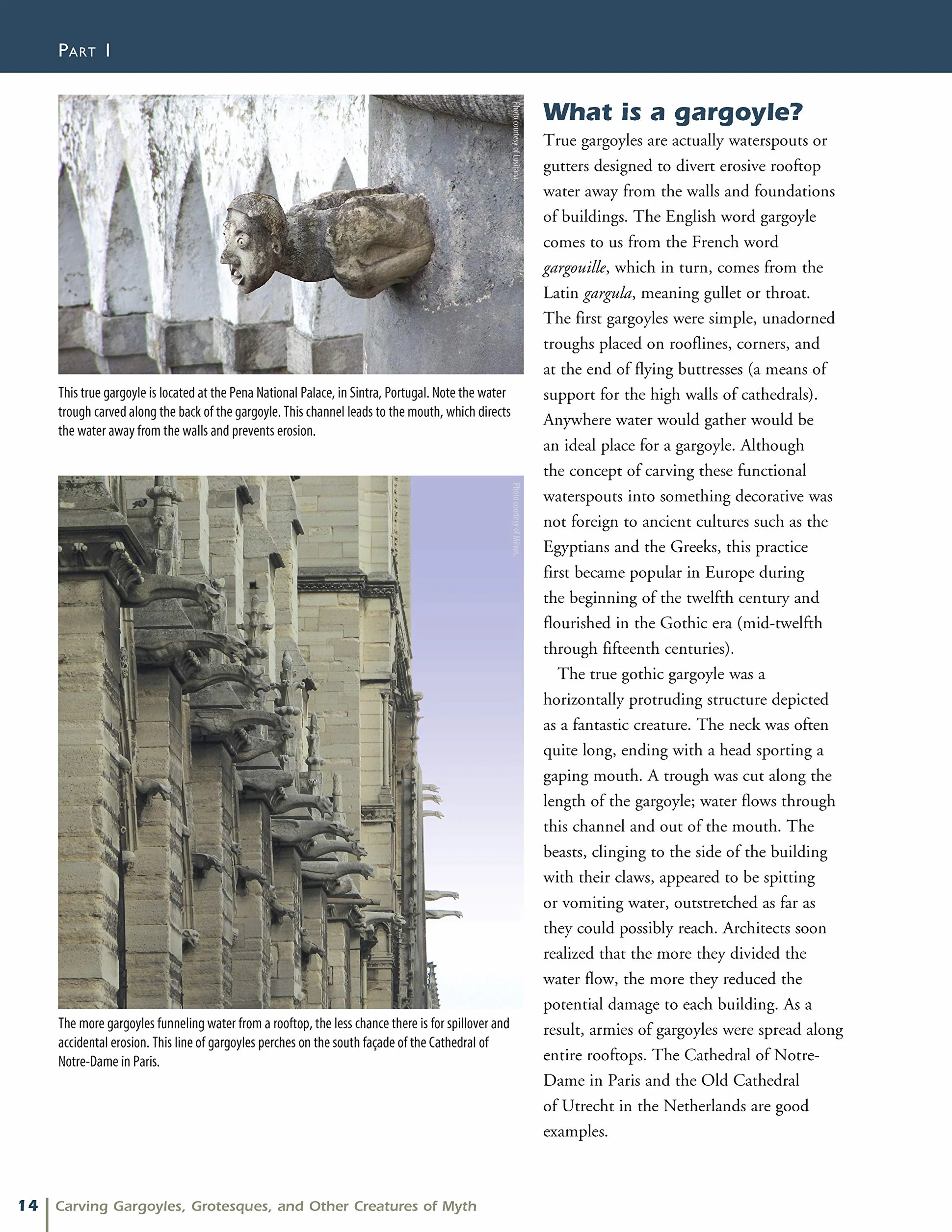 Carving Gargoyles, Grotesques, and Other Creatures of Myth: History, Lore, and 12 Artistic Patterns