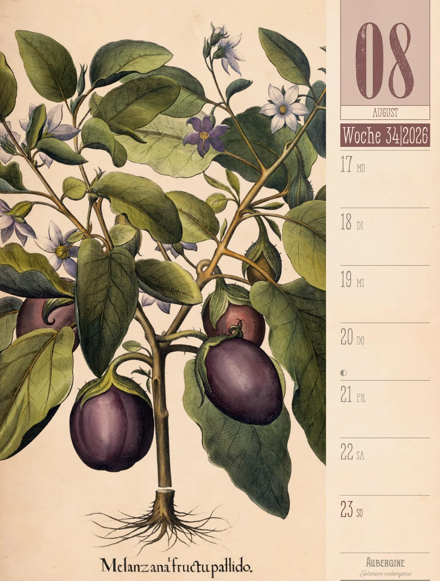 Culinarium Wochenplaner Kalender 2026 | Küche, Kräuter, Kurioses: Informativer Küchen-Wochenkalender im Hochformat (25x33 cm) | Vintage & Retro