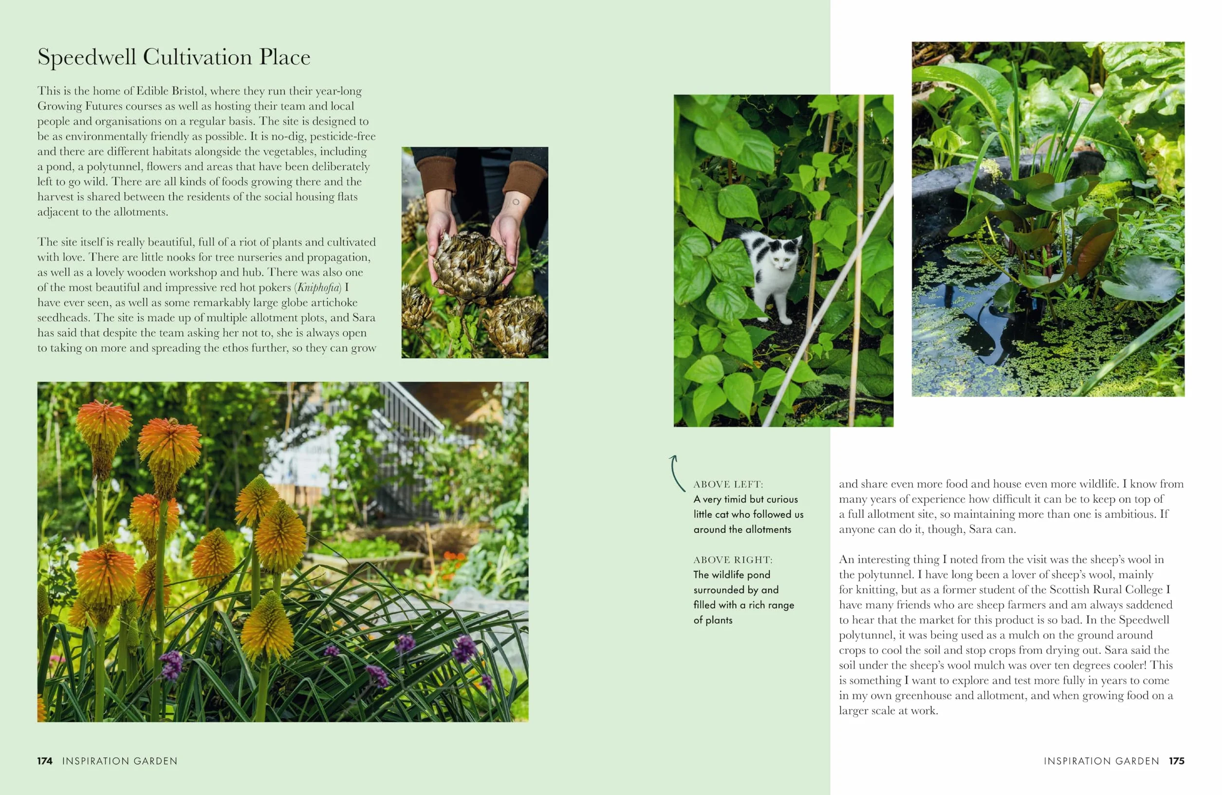 Gardeners' World: A Year in a Small Garden: Creating a Beautiful Garden in Any Space