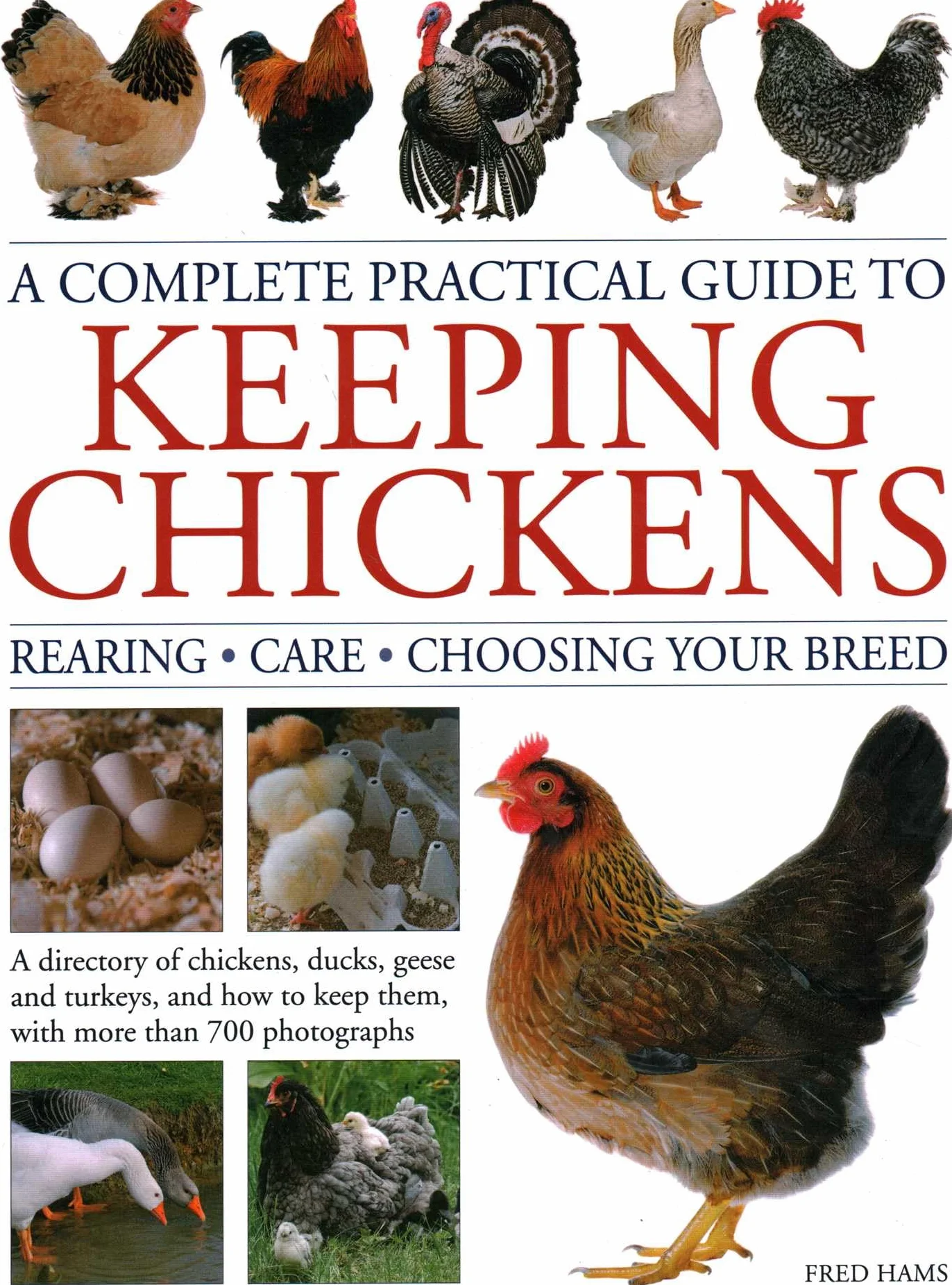 A Complete Practical Guide to Keeping Chickens: A Directory of Chickens, Ducks, Geese and Turkeys, and How to Keep Them, with Mmre Than 700 Photographs