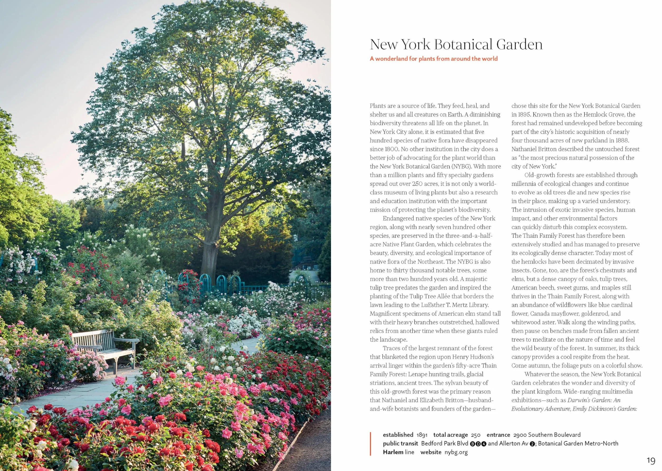 New York Green: Discovering the City's Most Treasured Parks and Gardens