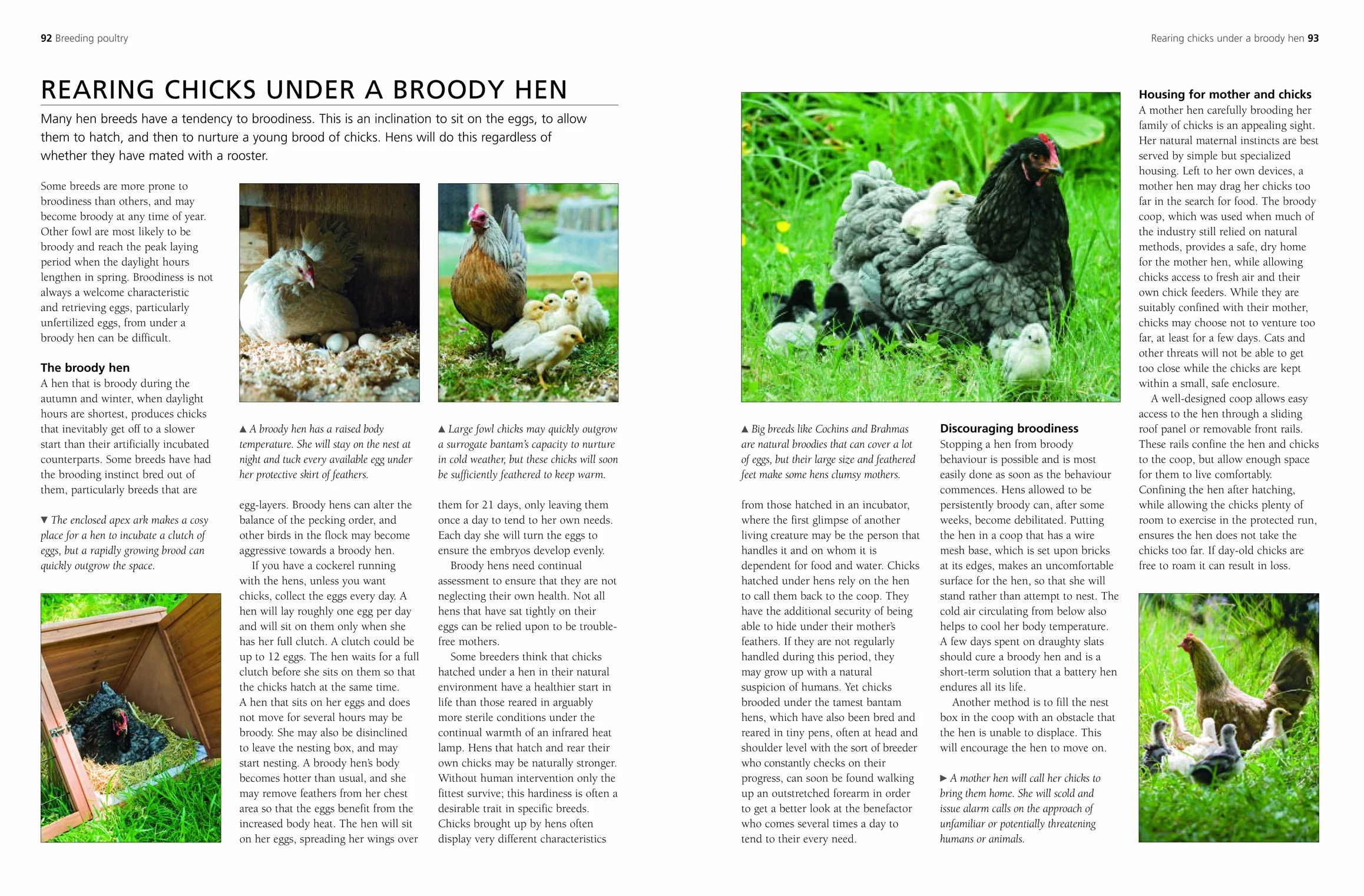 A Complete Practical Guide to Keeping Chickens: A Directory of Chickens, Ducks, Geese and Turkeys, and How to Keep Them, with Mmre Than 700 Photographs