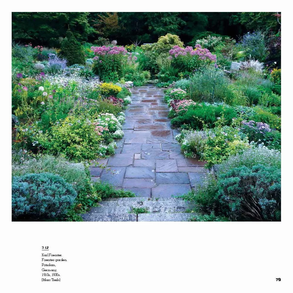 Aesthetics Of Contemporary Planting Design /anglais