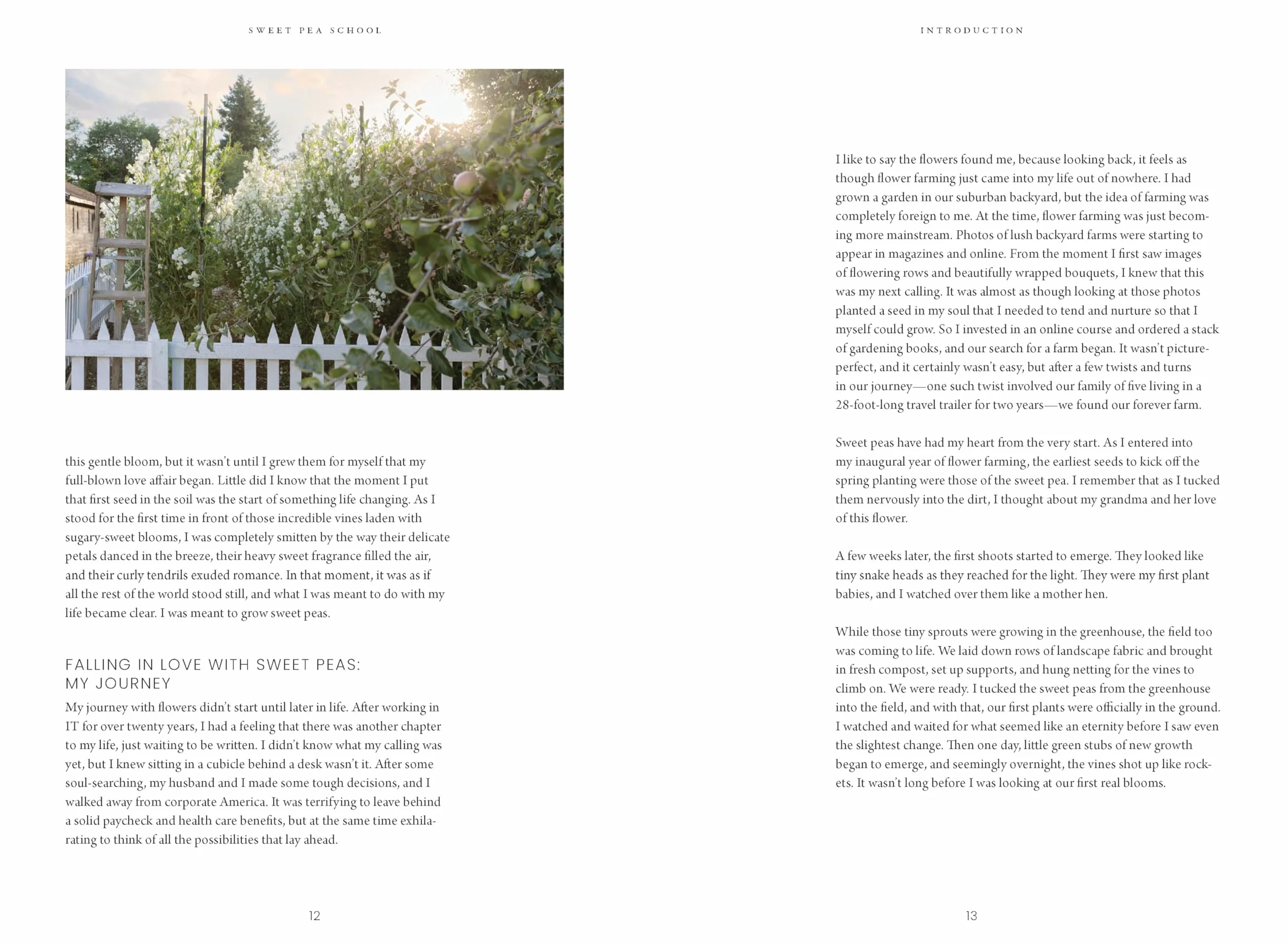 Sweet Pea School: Growing & Arranging the Garden's Most Romantic Blooms