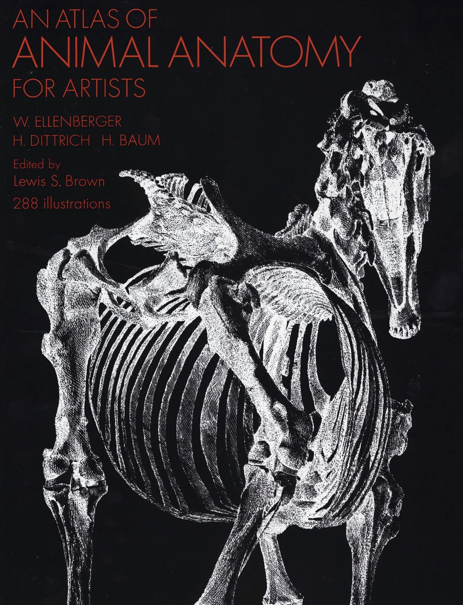An Atlas of Animal Anatomy for Artists