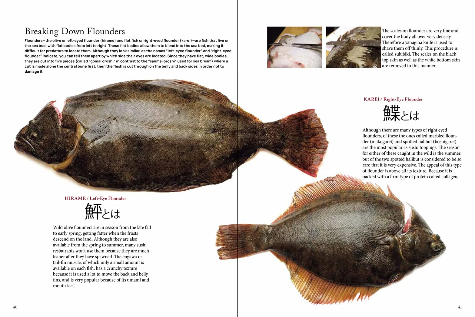 The Art and Science of Sushi: A Comprehensive Guide to Ingredients, Techniques and Equipment