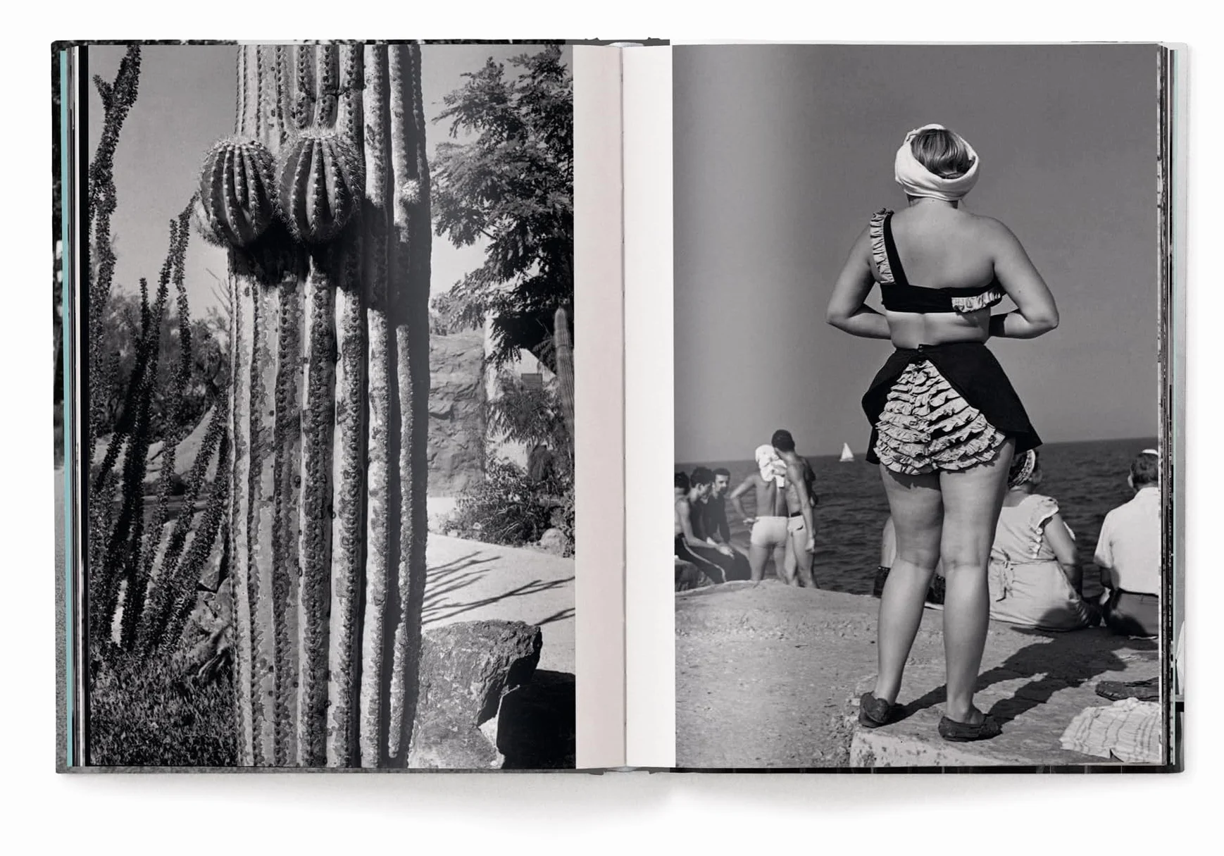 Elliott Erwitt Personal Best: tN4t