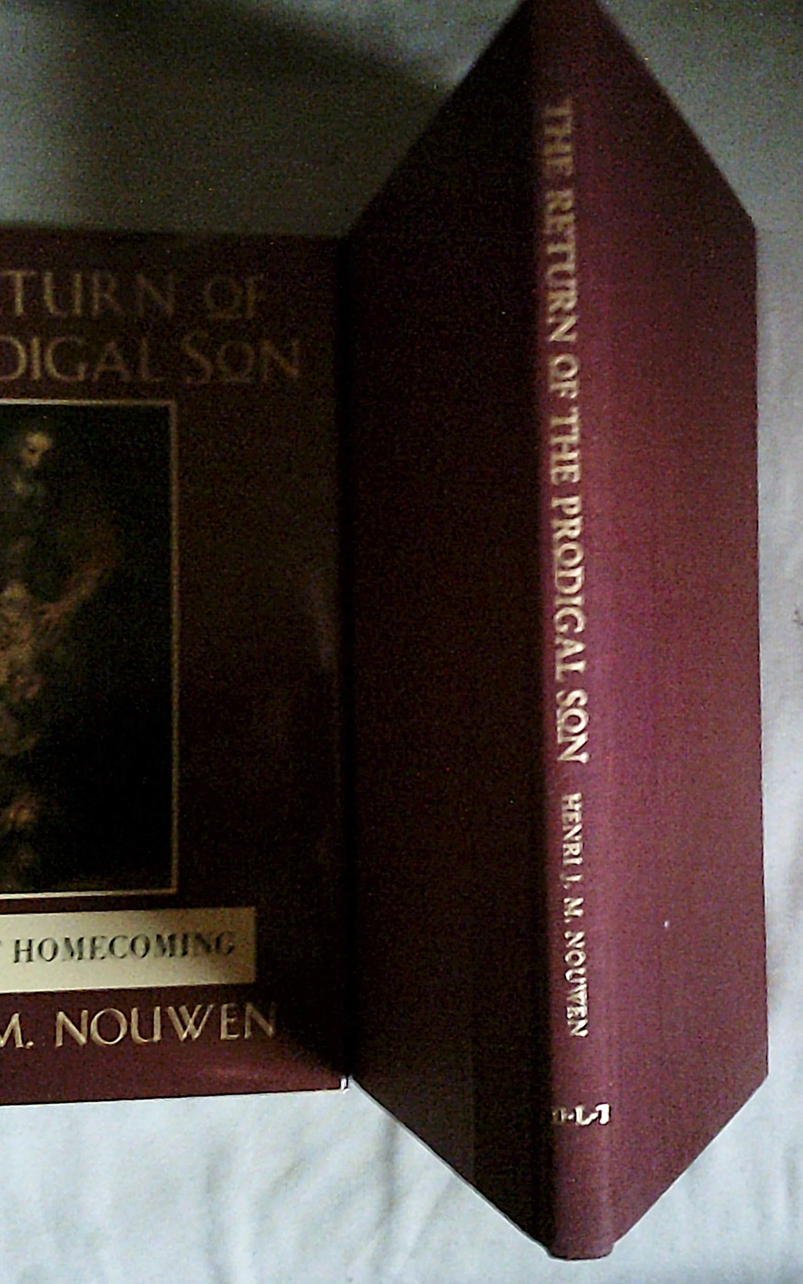 The Return of the Prodigal Son: A Story of Homecoming