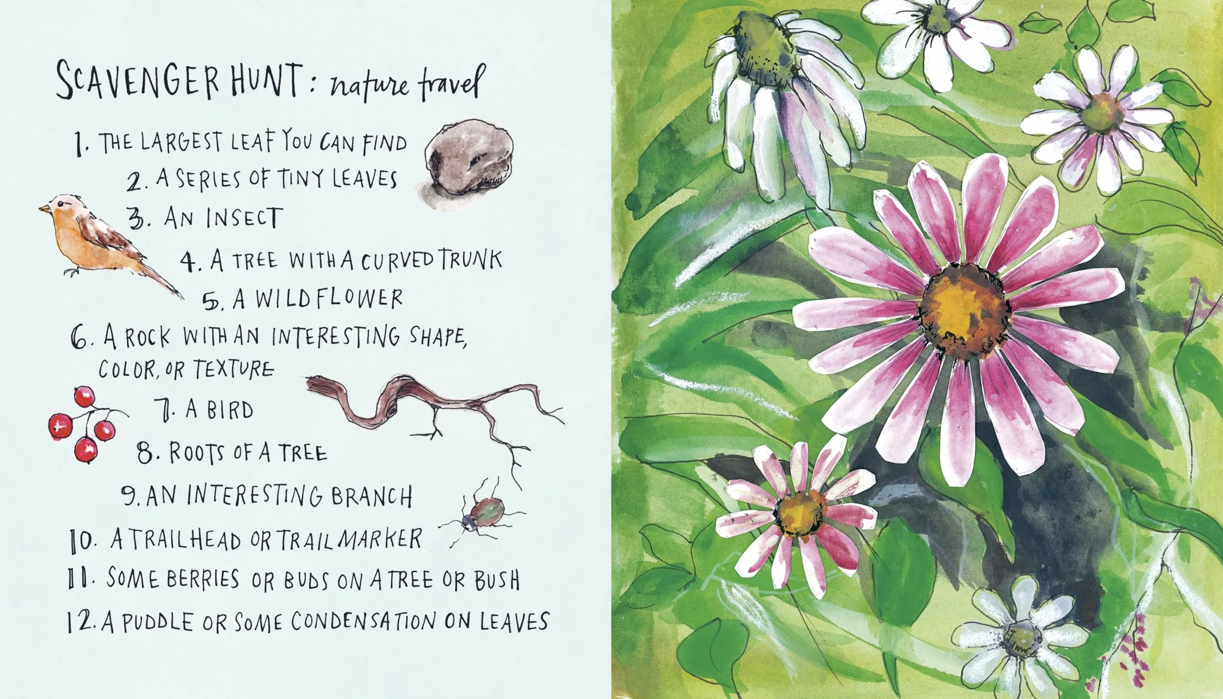 Draw Your Adventures: Making Art to Celebrate Everyday Experiences and Travels Near and Far