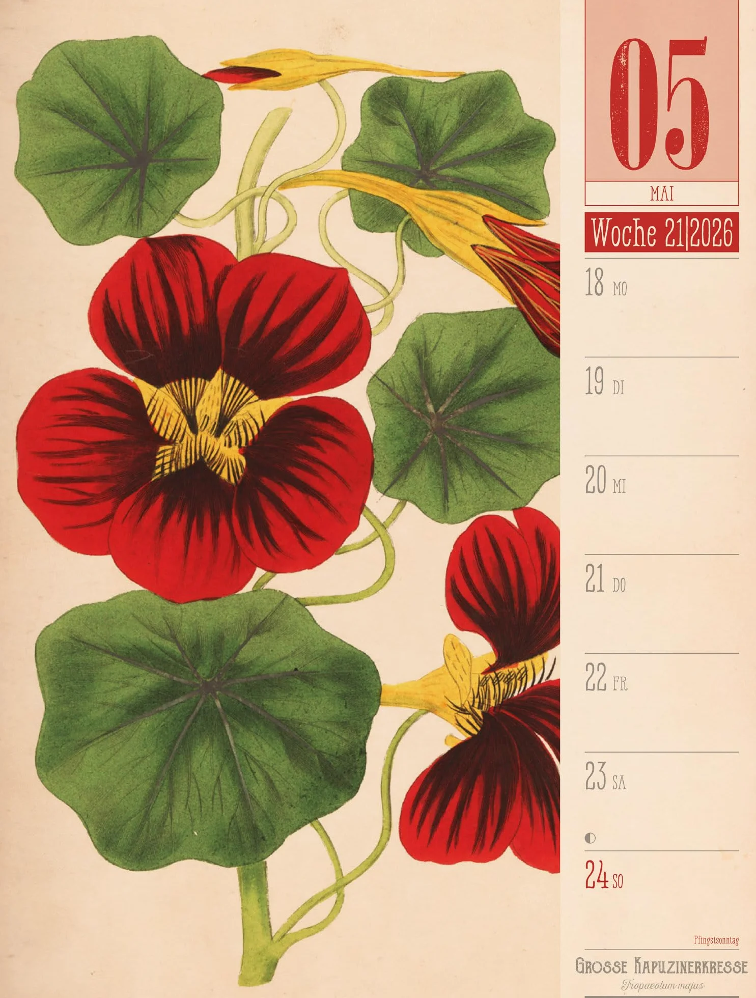 Culinarium Wochenplaner Kalender 2026 | Küche, Kräuter, Kurioses: Informativer Küchen-Wochenkalender im Hochformat (25x33 cm) | Vintage & Retro