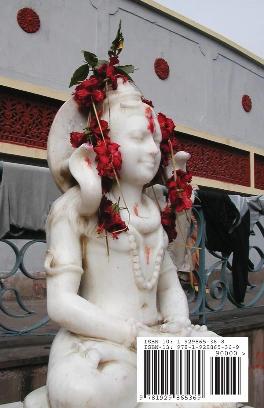 Mahabharata, Ksiega IV & V, Virata Parva & Udyoga Parva