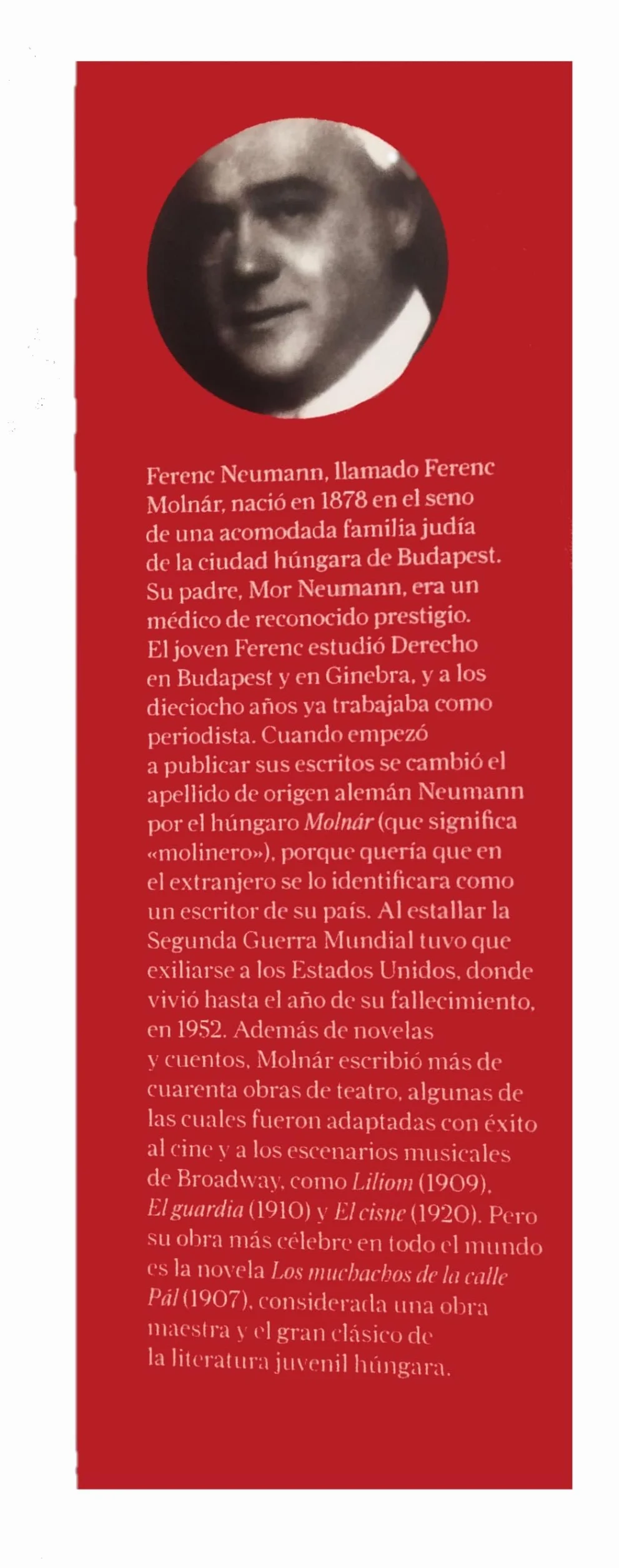 Los Muchachos de la Calle Pál