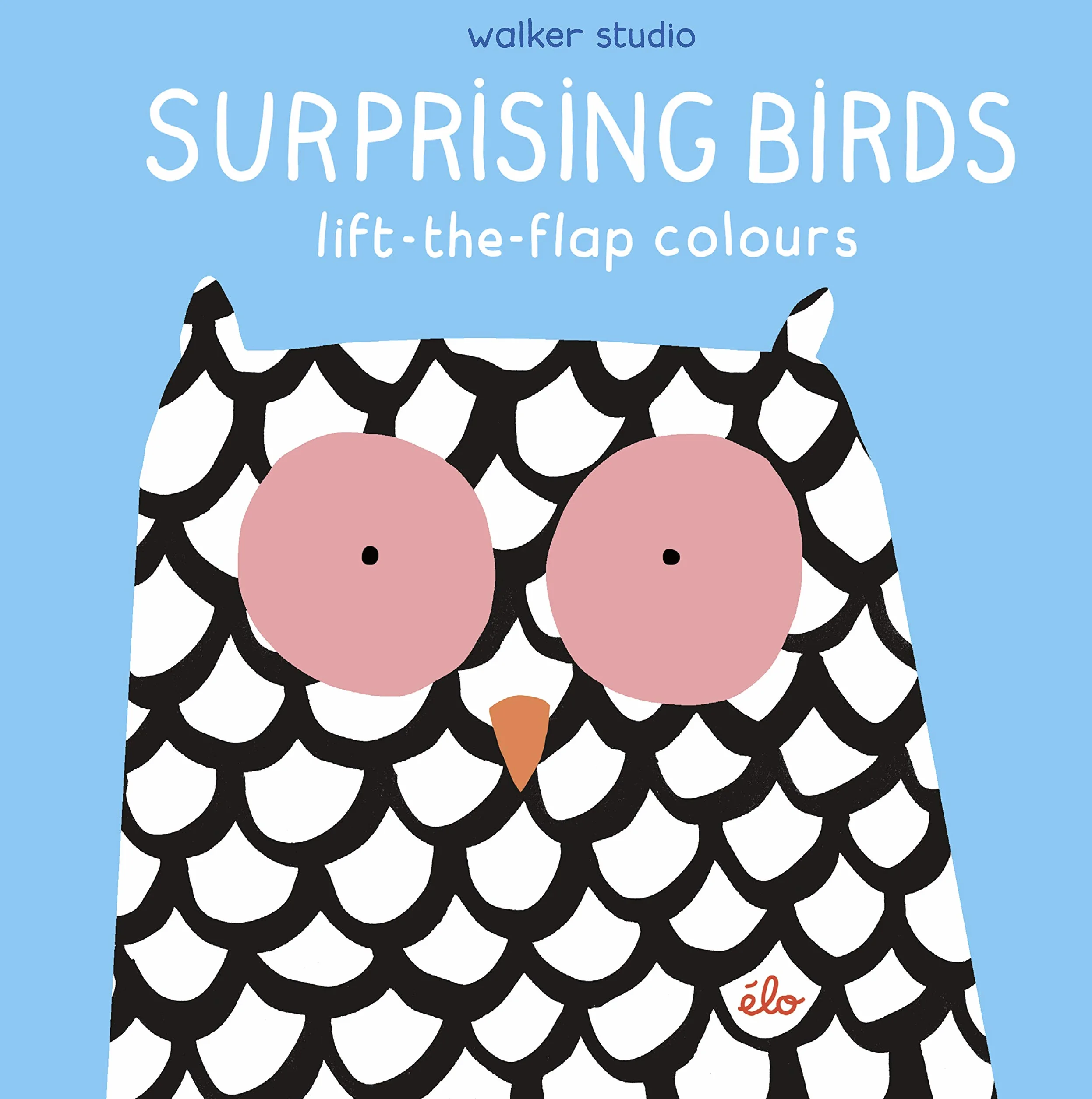 Surprising Birds: Lift-the-Flap Colours (Walker Studio)