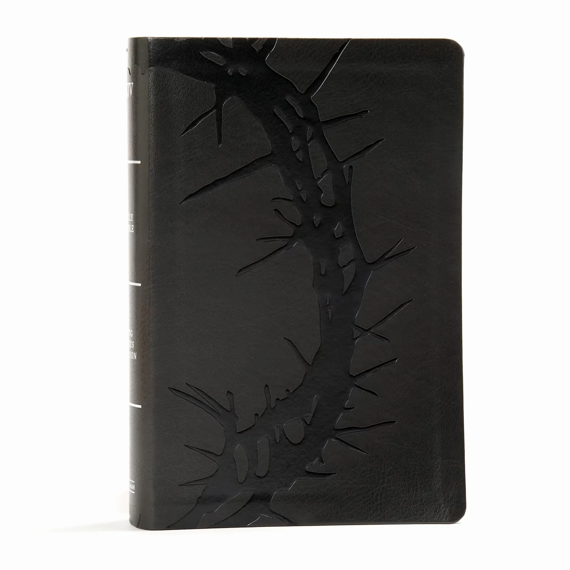 KJV Large Print Personal Size Reference Bible, Charcoal Leathertouch