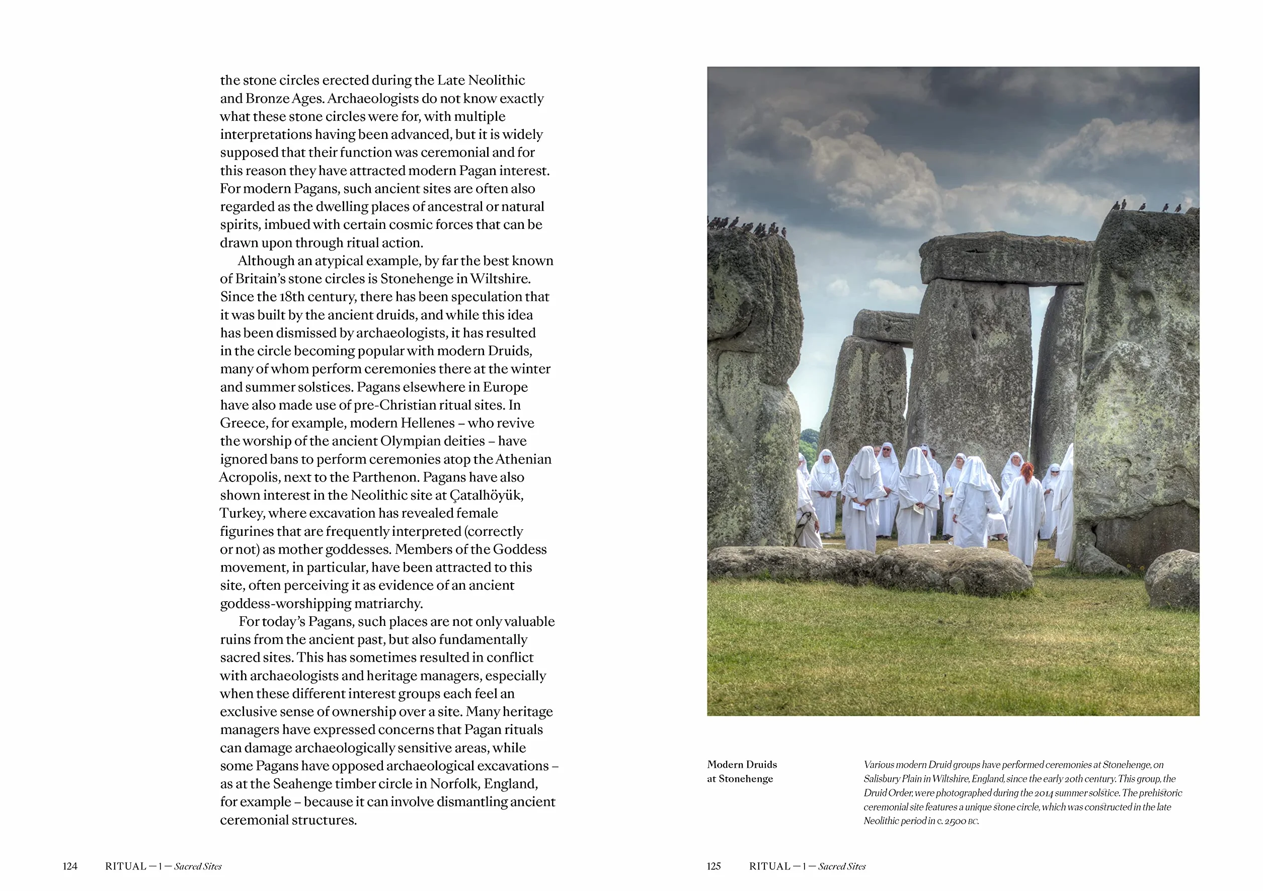 Pagans: The visual culture of Pagan myths, legends and rituals: 2