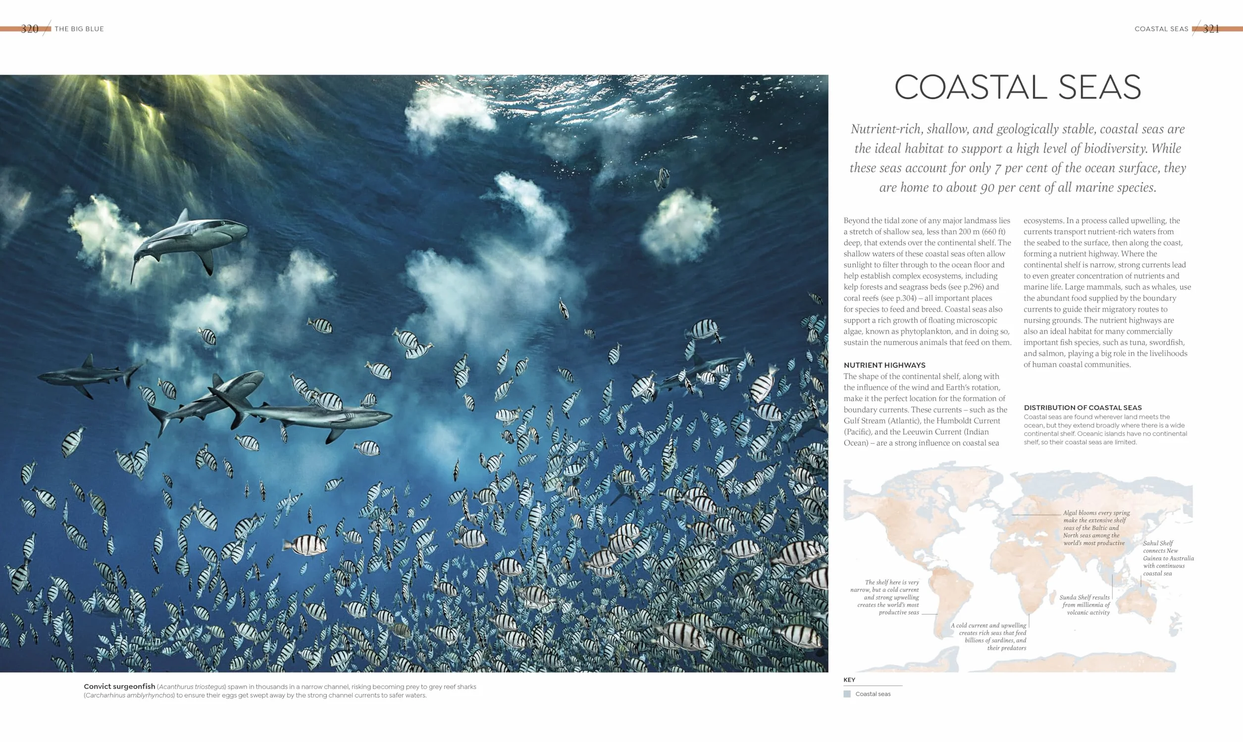 Habitats: Discover Earth's Precious Wild Places