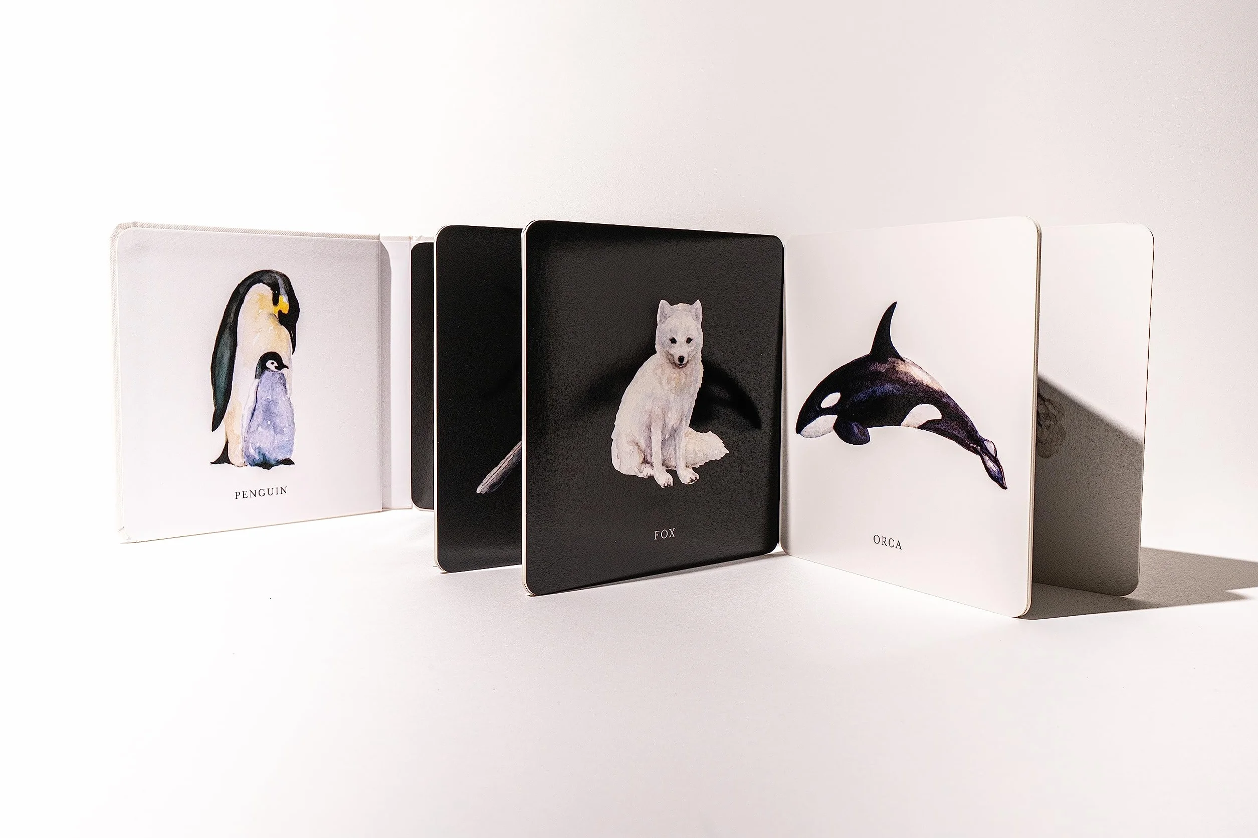 Baby's Black and White Contrast Book: High-Contrast Art for Visual Stimulation at Tummy Time: 4