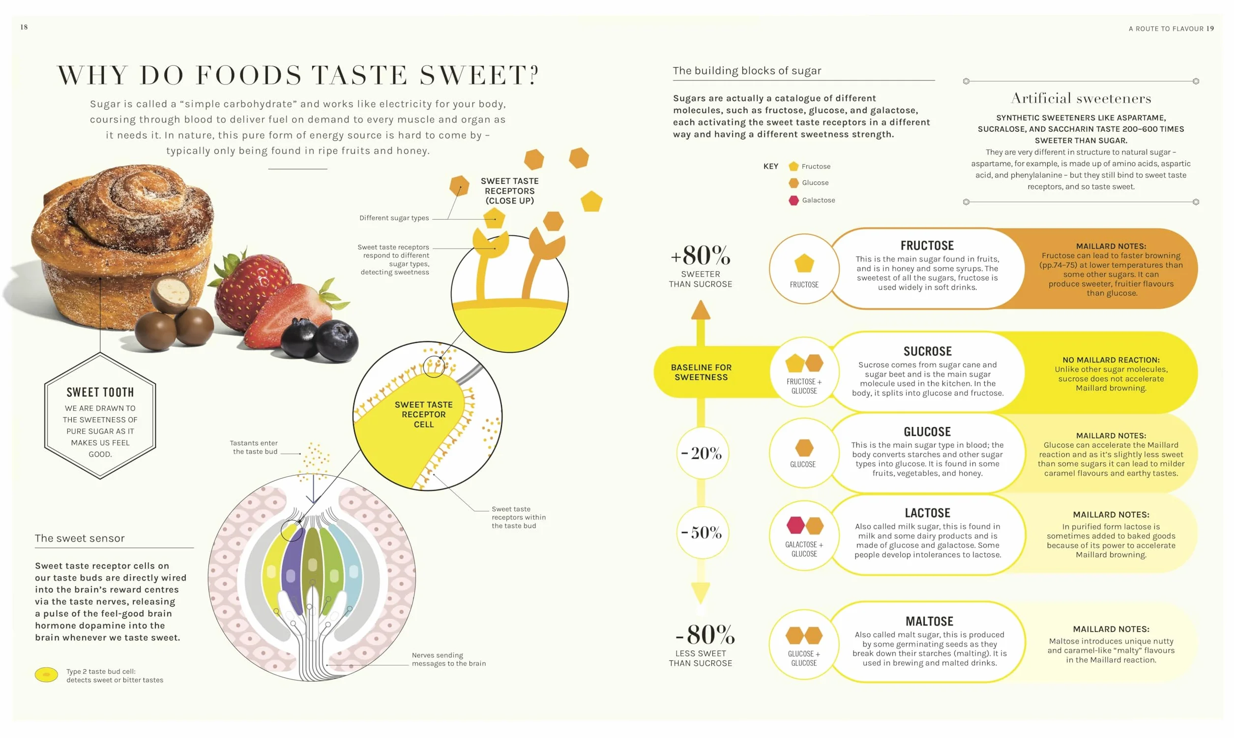 The Science of Flavour: Unlock the Secrets of Flavourful Cooking