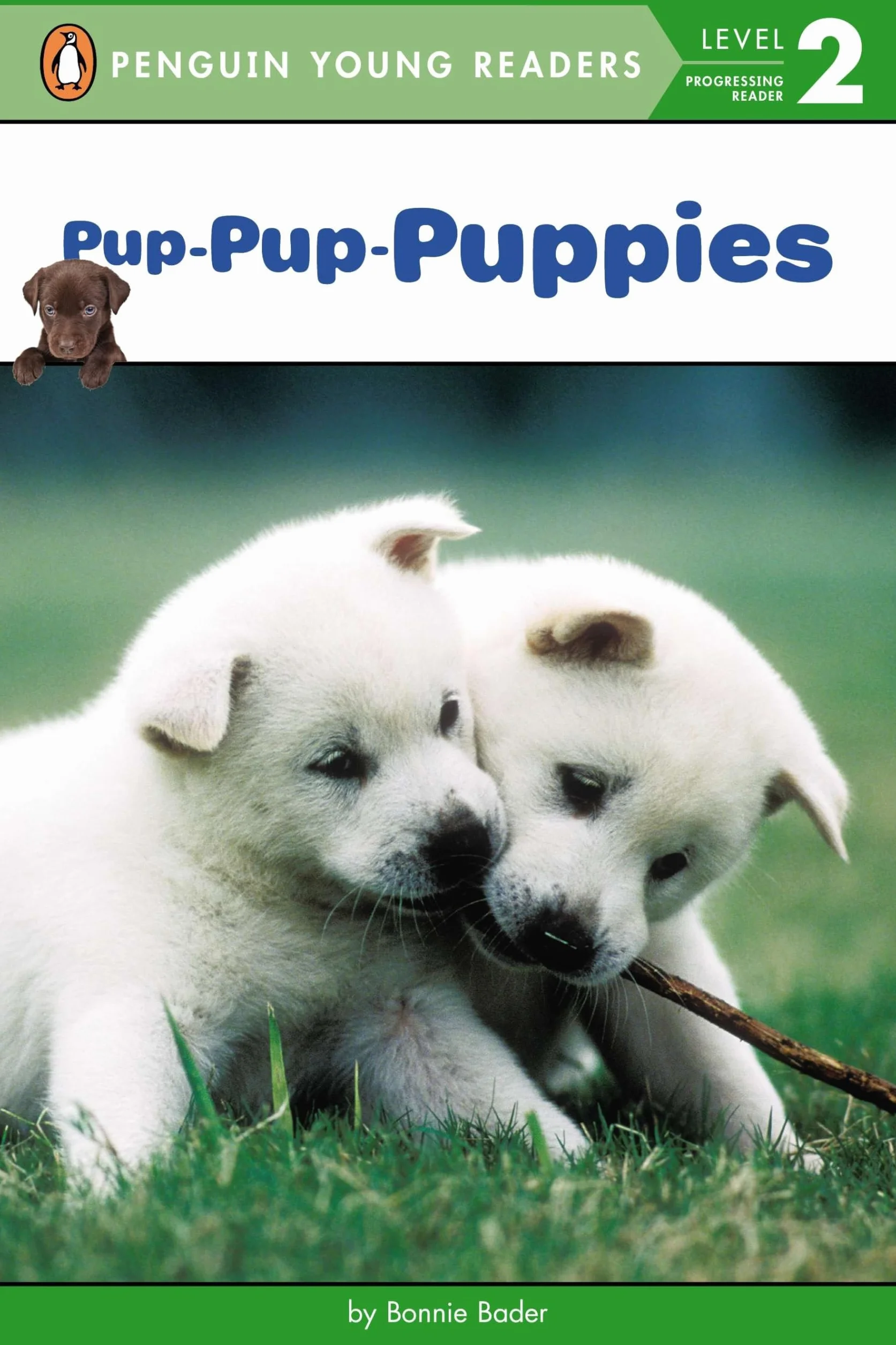 Pup-Pup-Puppies
