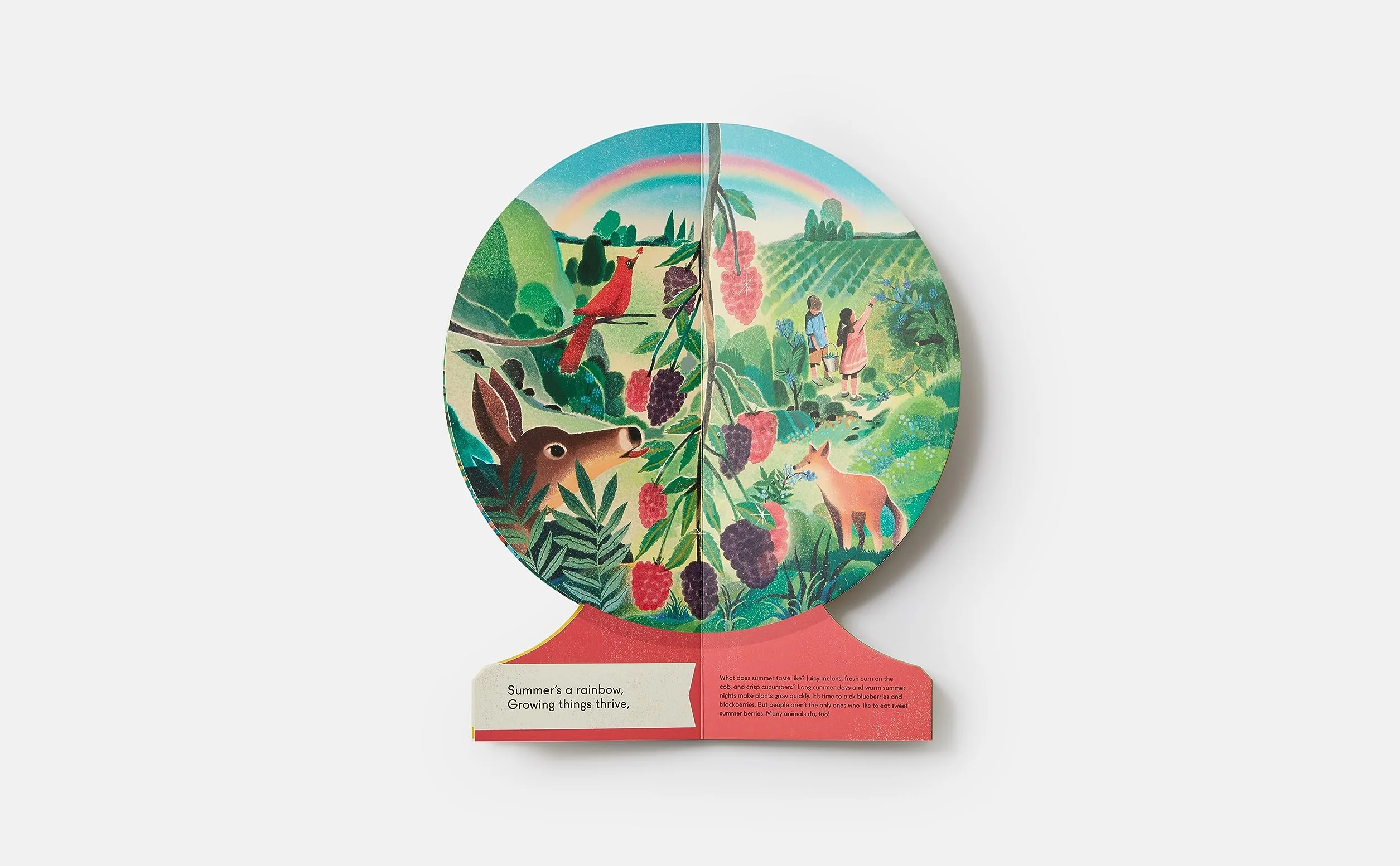 OUR SEASONS: The World in Winter, Spring, Summer, and Autumn
